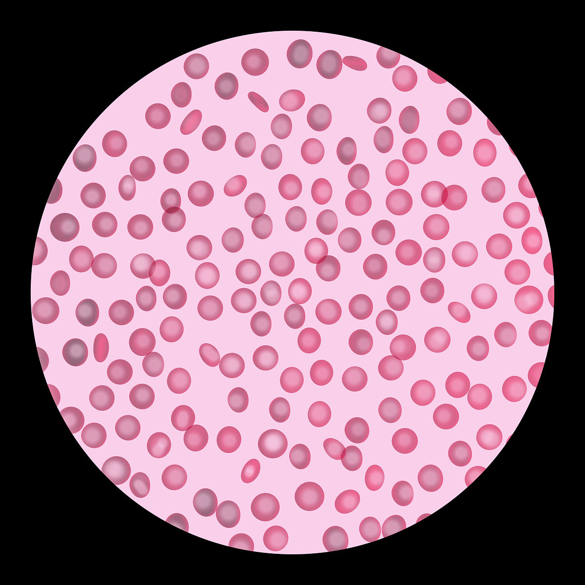 胞间浓度：细胞内外的物质浓度差异