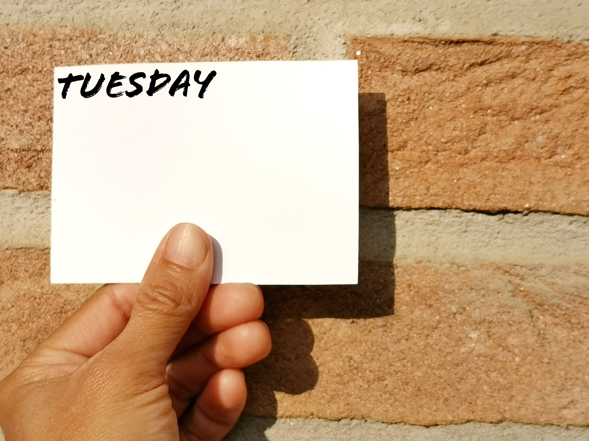 close-up of hand holding paper against wall