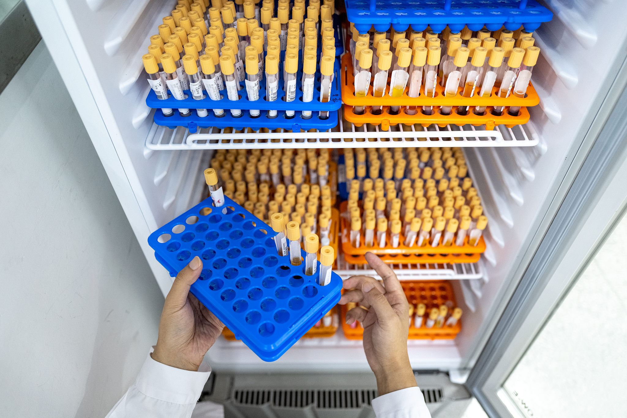 甘肃卫生职业学院2019年招生简章及计划-专业设置及招生人数