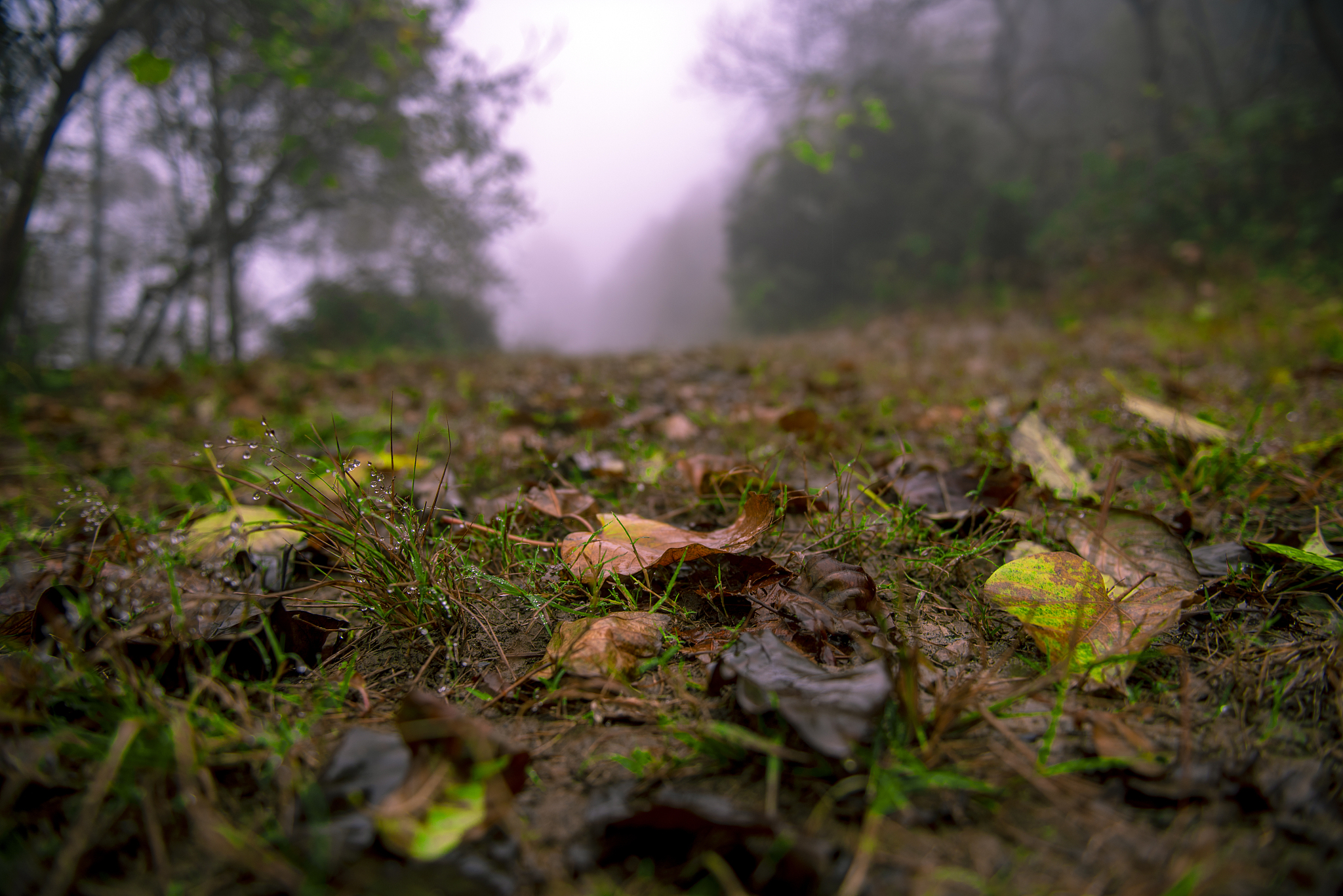 重庆荣昌区职业教育中心国际航空订单培养