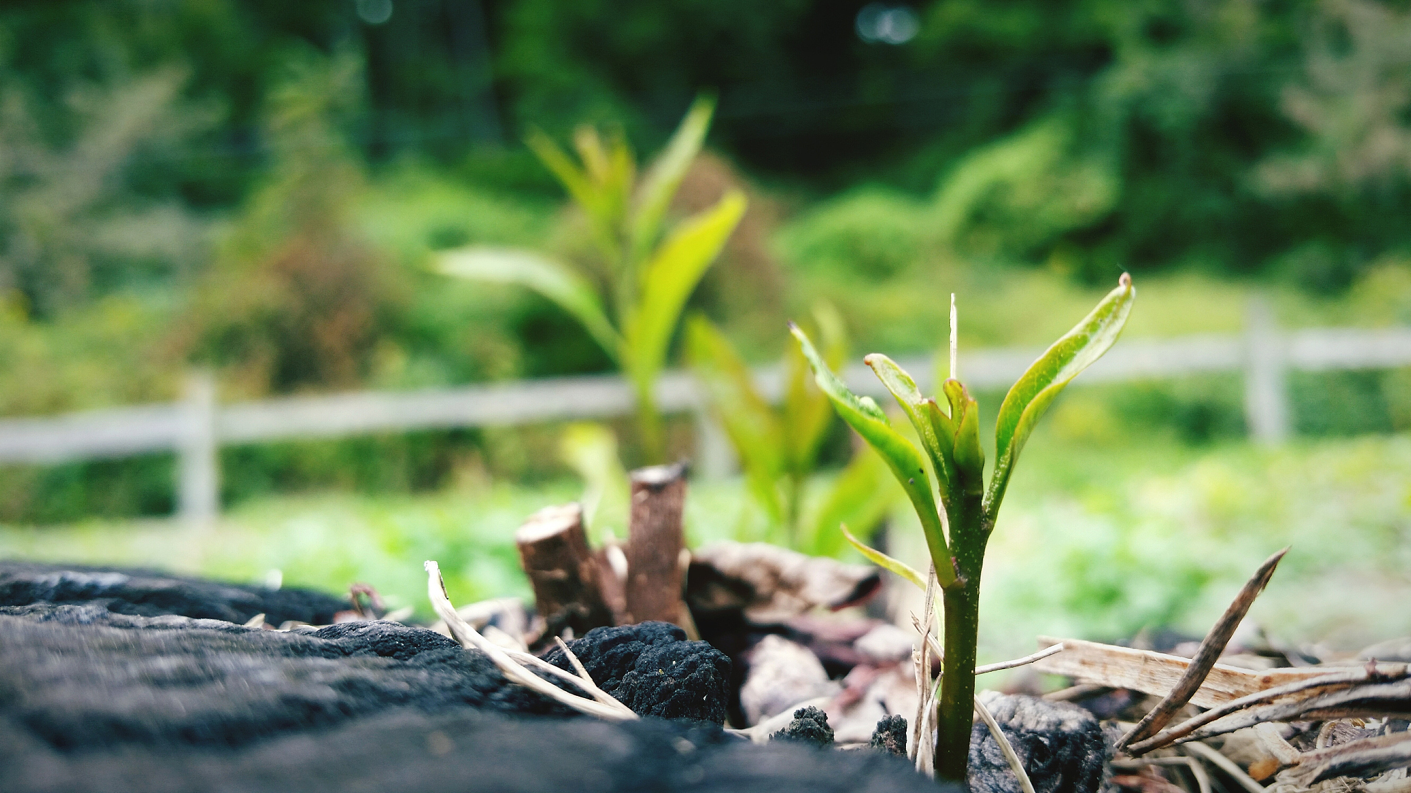 在我把我的生活从阴沟里拉出来之后我发现这是一种非常有益的保持清洁和清醒的方式