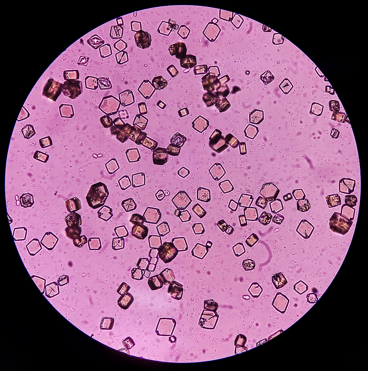 请用更地道、更科学、更书面化的英语表达如下内容：我们在参考文献报道的方法基础上进行了轻微的改动以进行人子宫内膜上皮细胞和间质细胞的原代分离。简单而已人子宫内膜组织在多次wash buffer清洗后用剪刀剪成碎片利用分散酶、胰酶以及DNA酶进行20分钟的消化消化过程中组织碎片在37度震荡器中震荡。离心去上清后沉淀物在wash buffer进行洗涤离心去上清后重复洗涤3次。沉淀物用wash buffe
