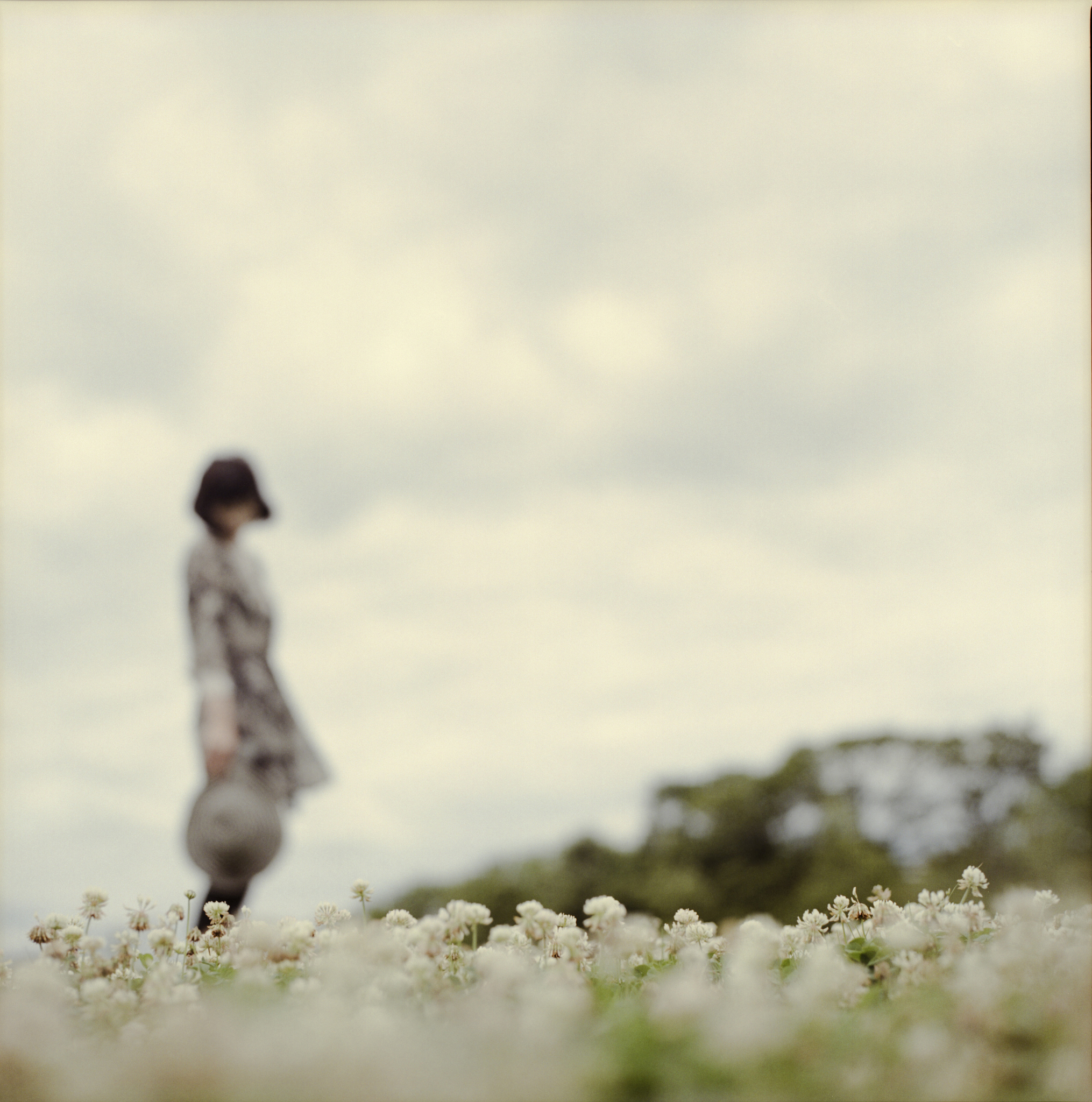 心凉了，快乐也变得落寞？如何找回内心平静？