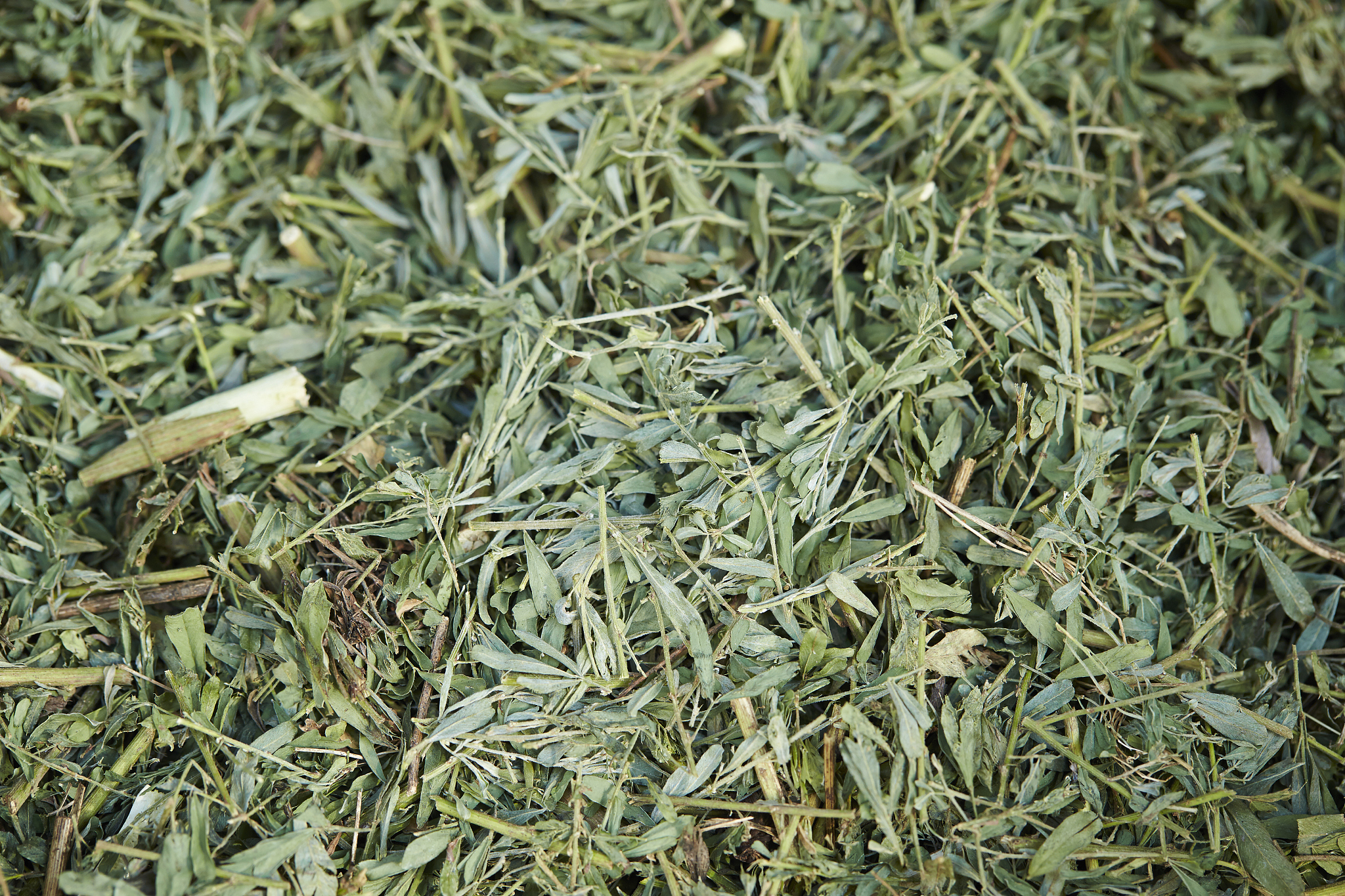 逐条分析中医药行业的主要竞争对象