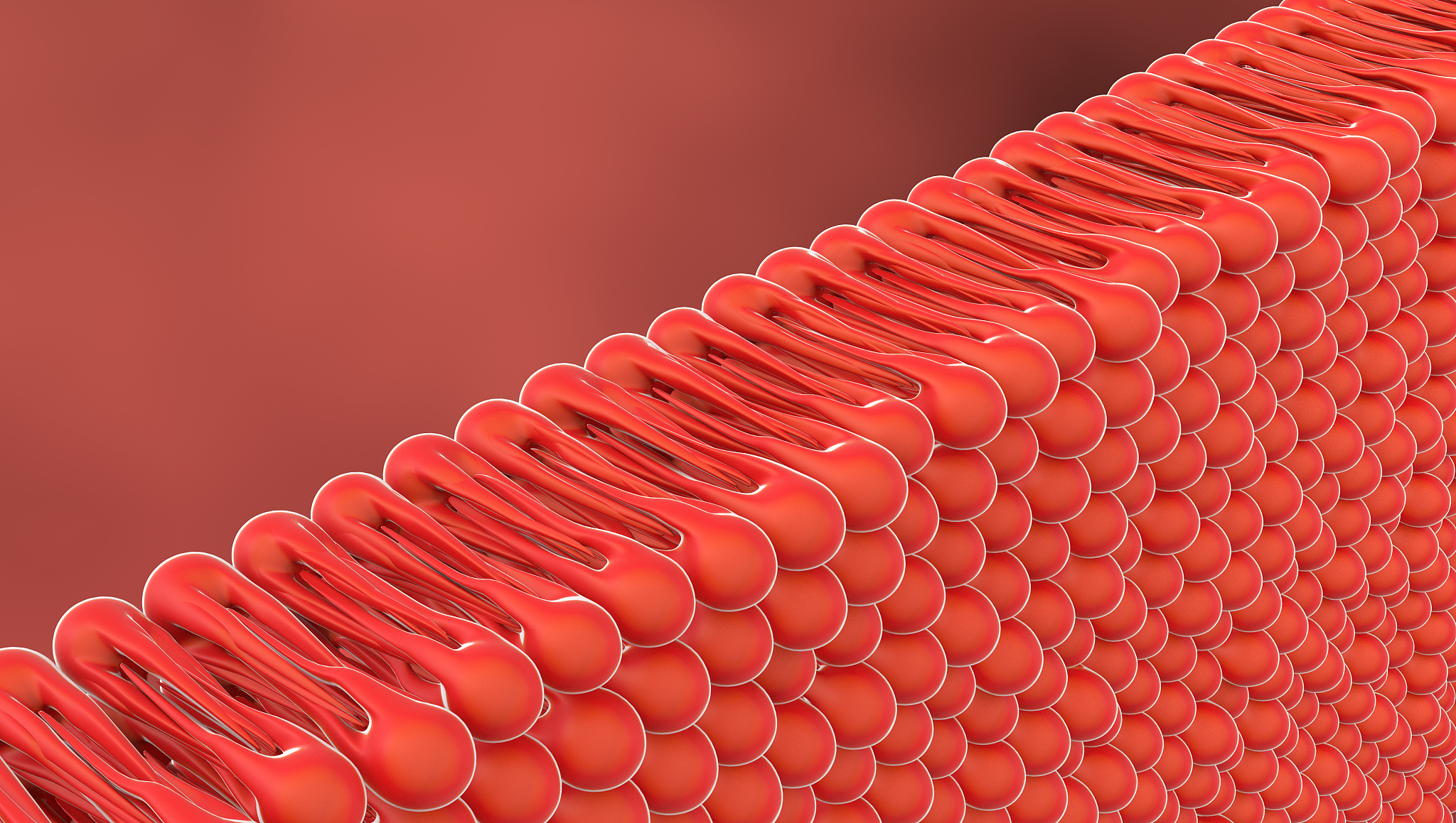 生物体的基本单位