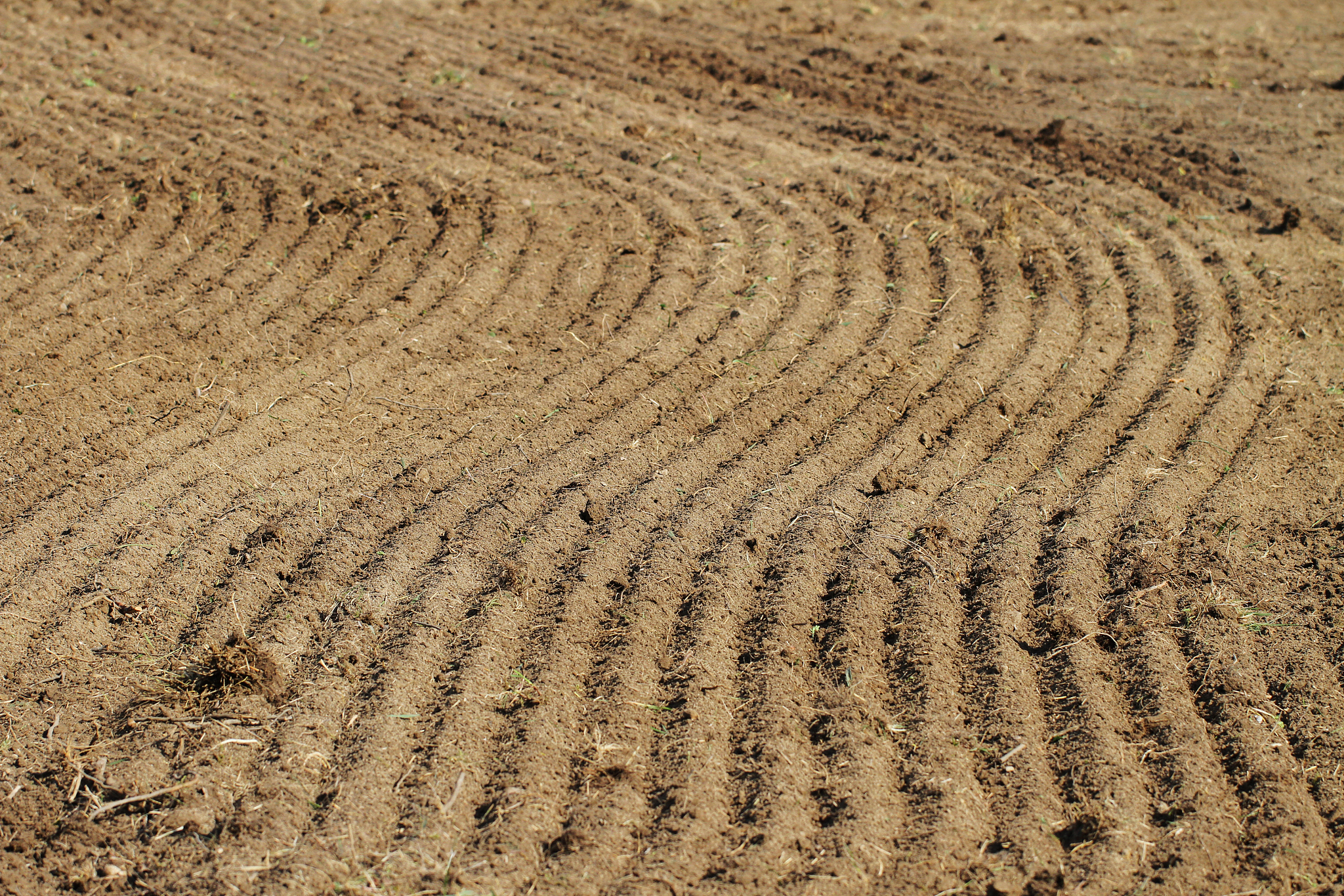 soil texture in a spring time.
