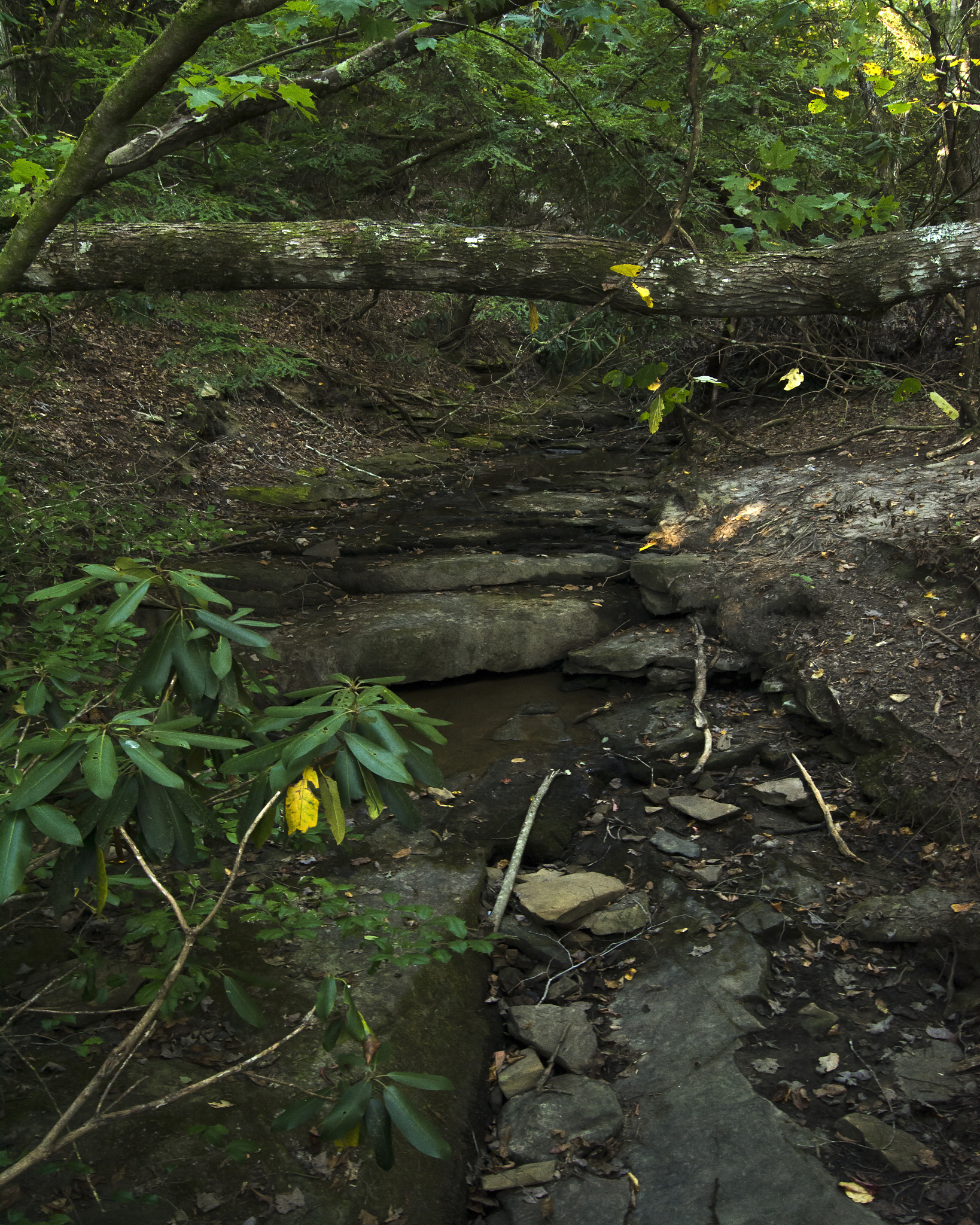 旅游业感想2000字