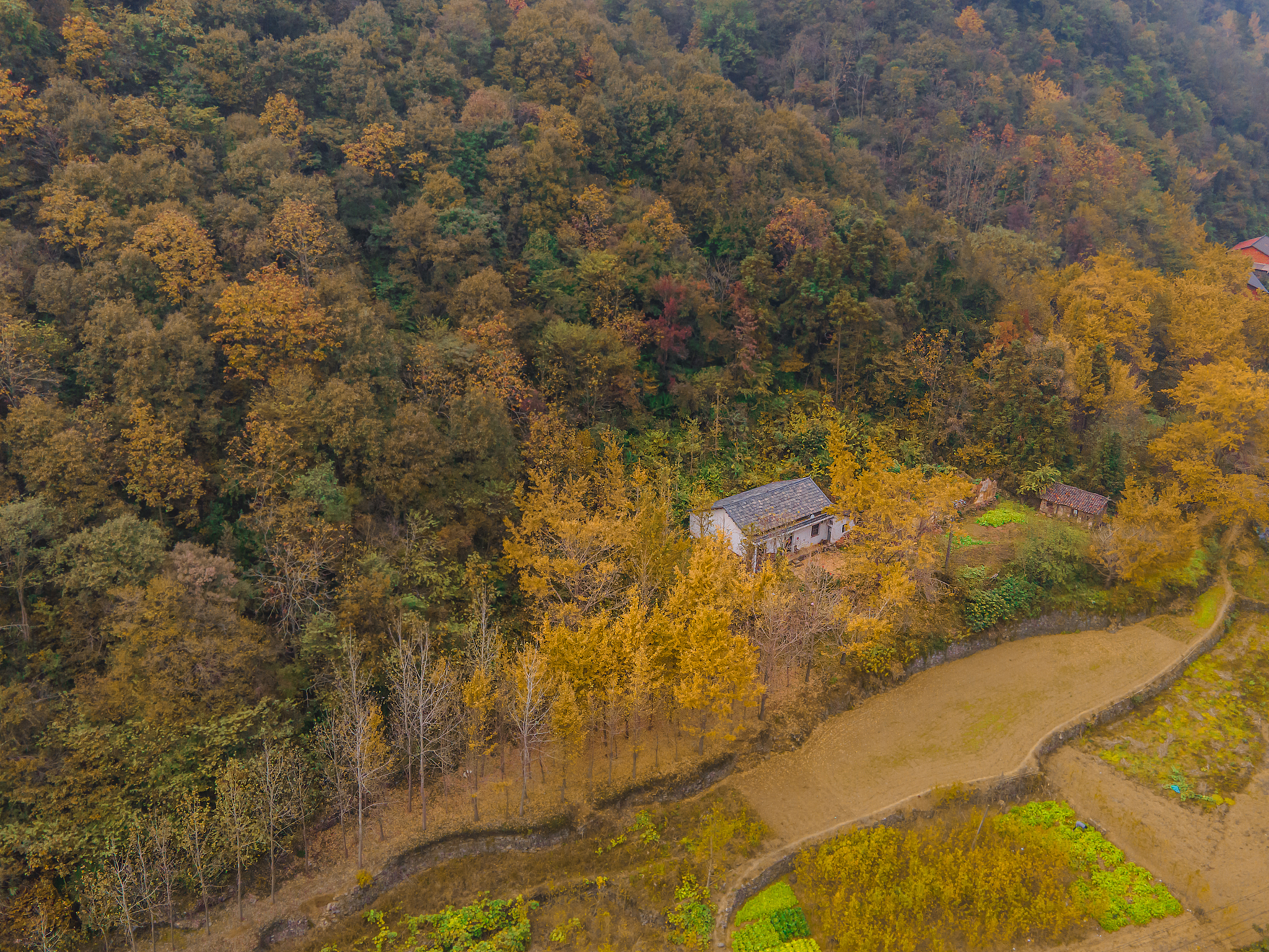 安陆曝光求助热线平台：媒体力量，助力民生