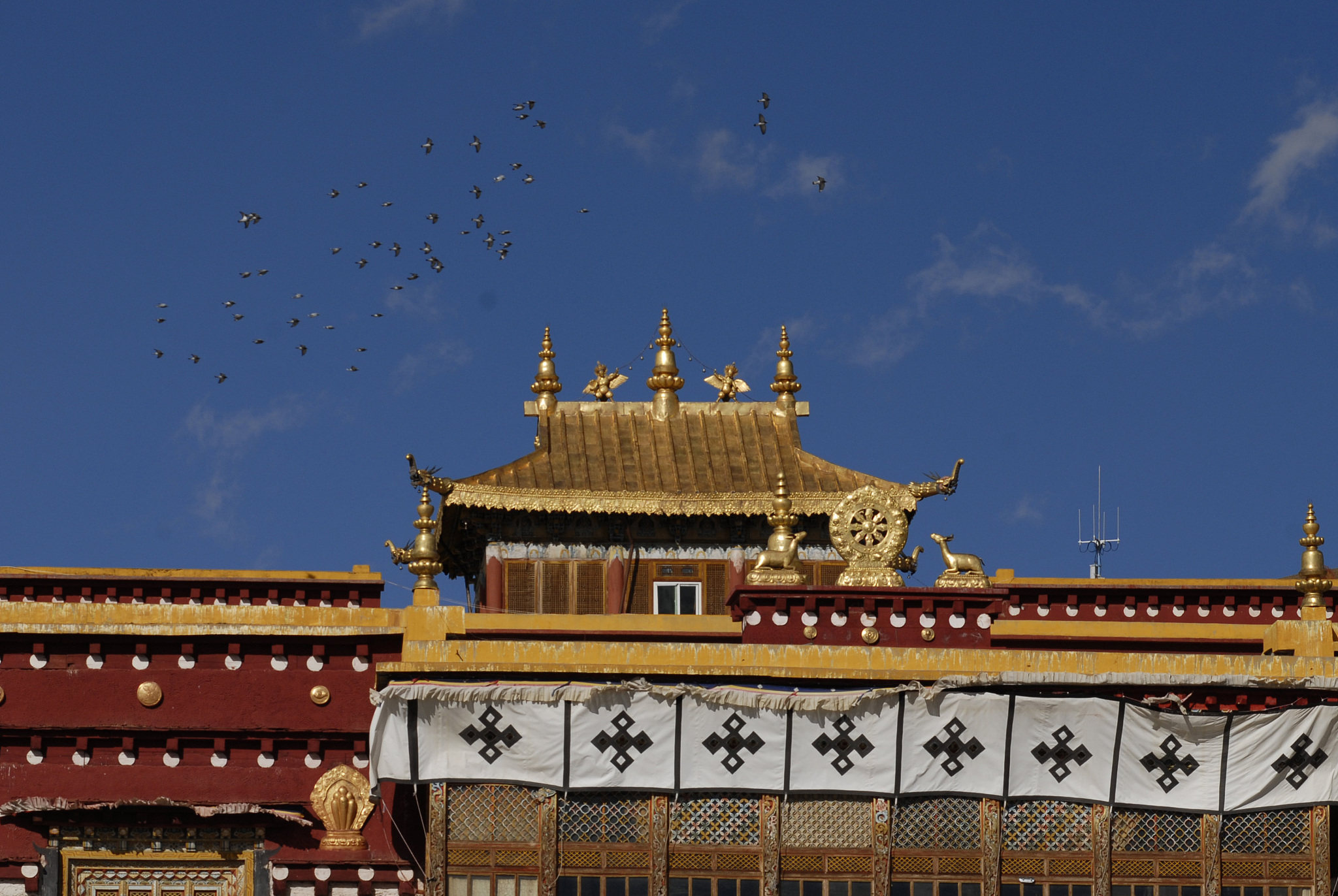 玉溪旅游学校2022年招生简章：报名指南
