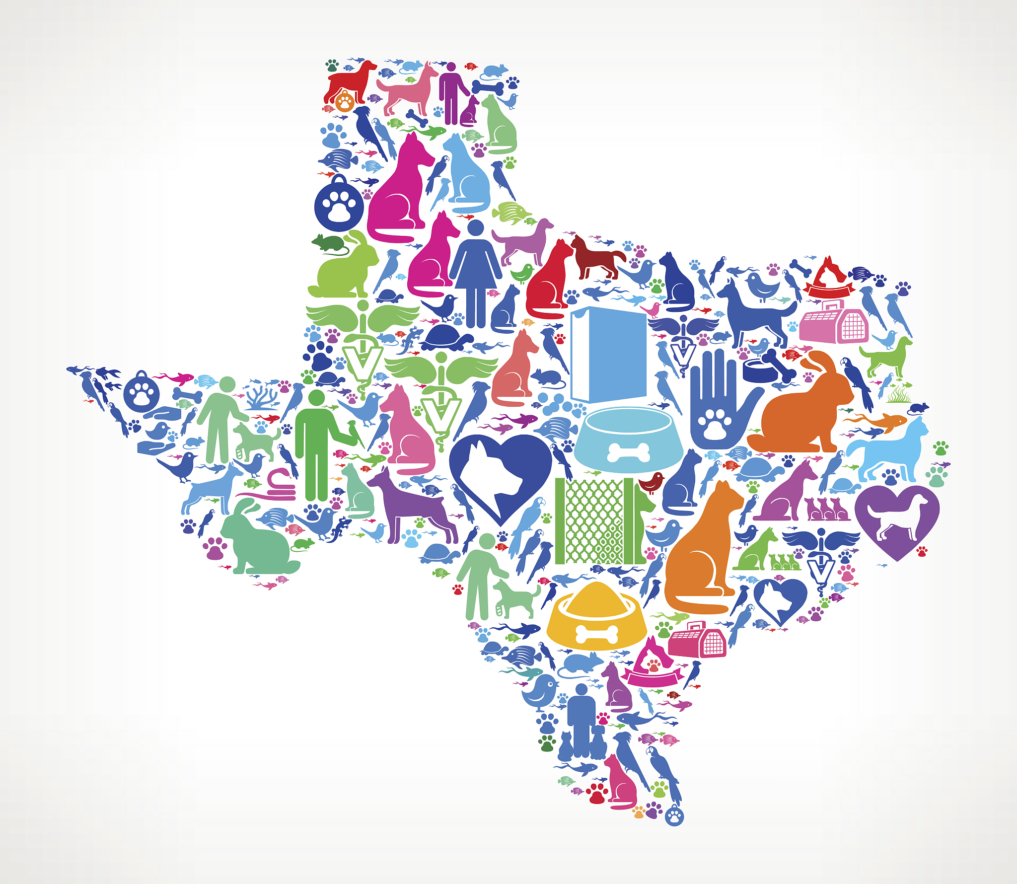 texas pets and domestic animals vector icons background