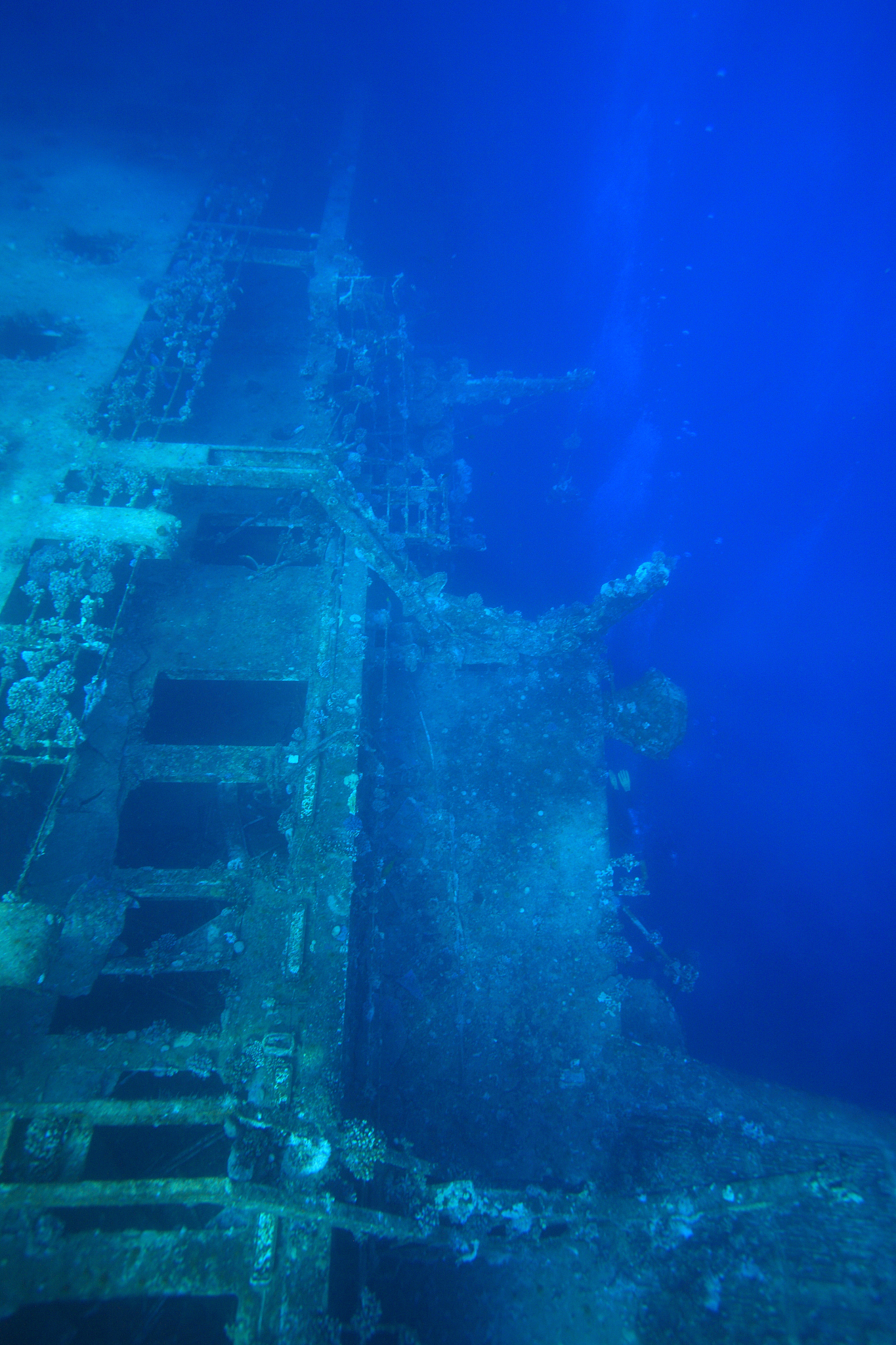 red sea