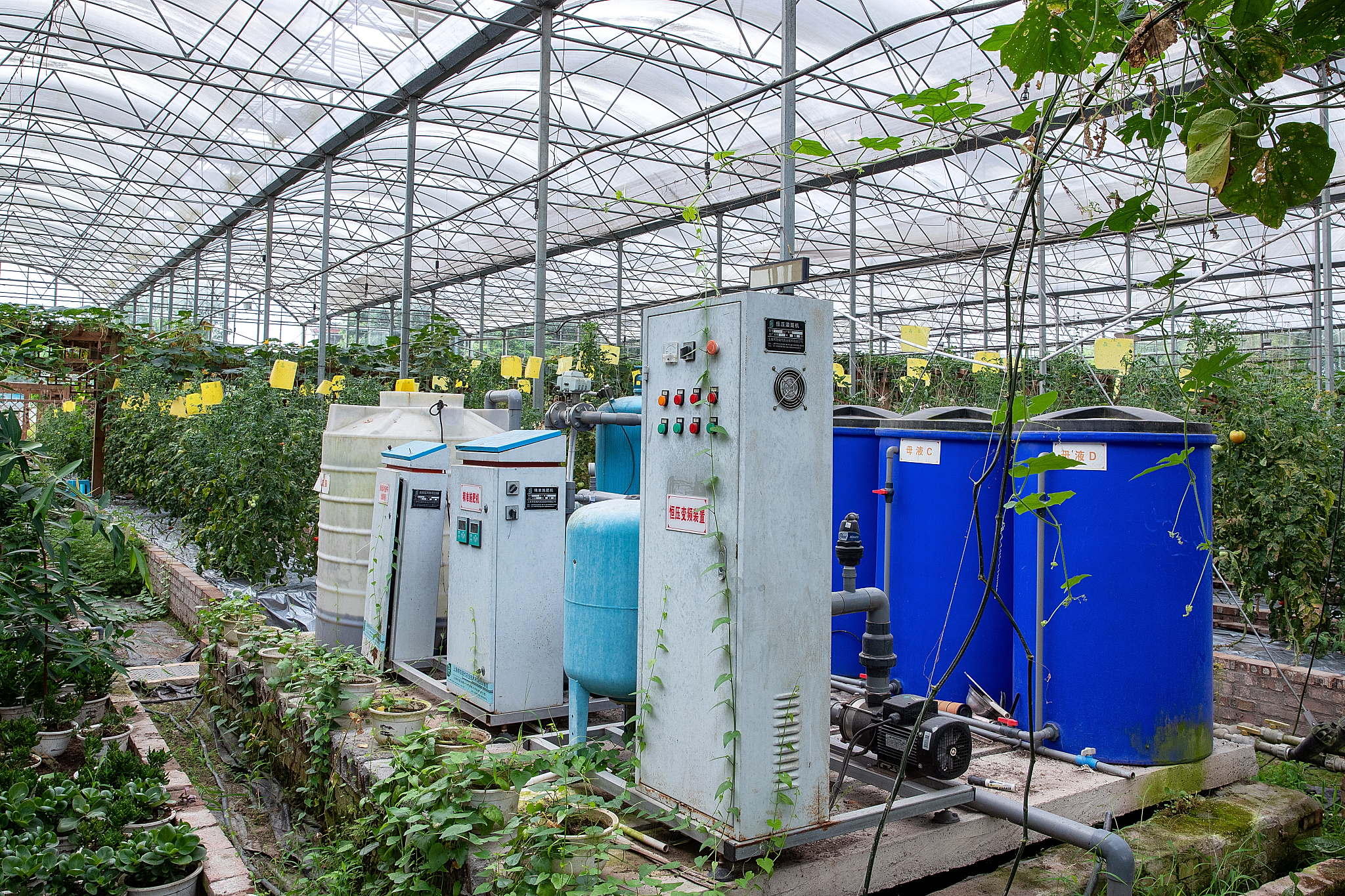 物联网智能温室大棚控制系统的开题报告