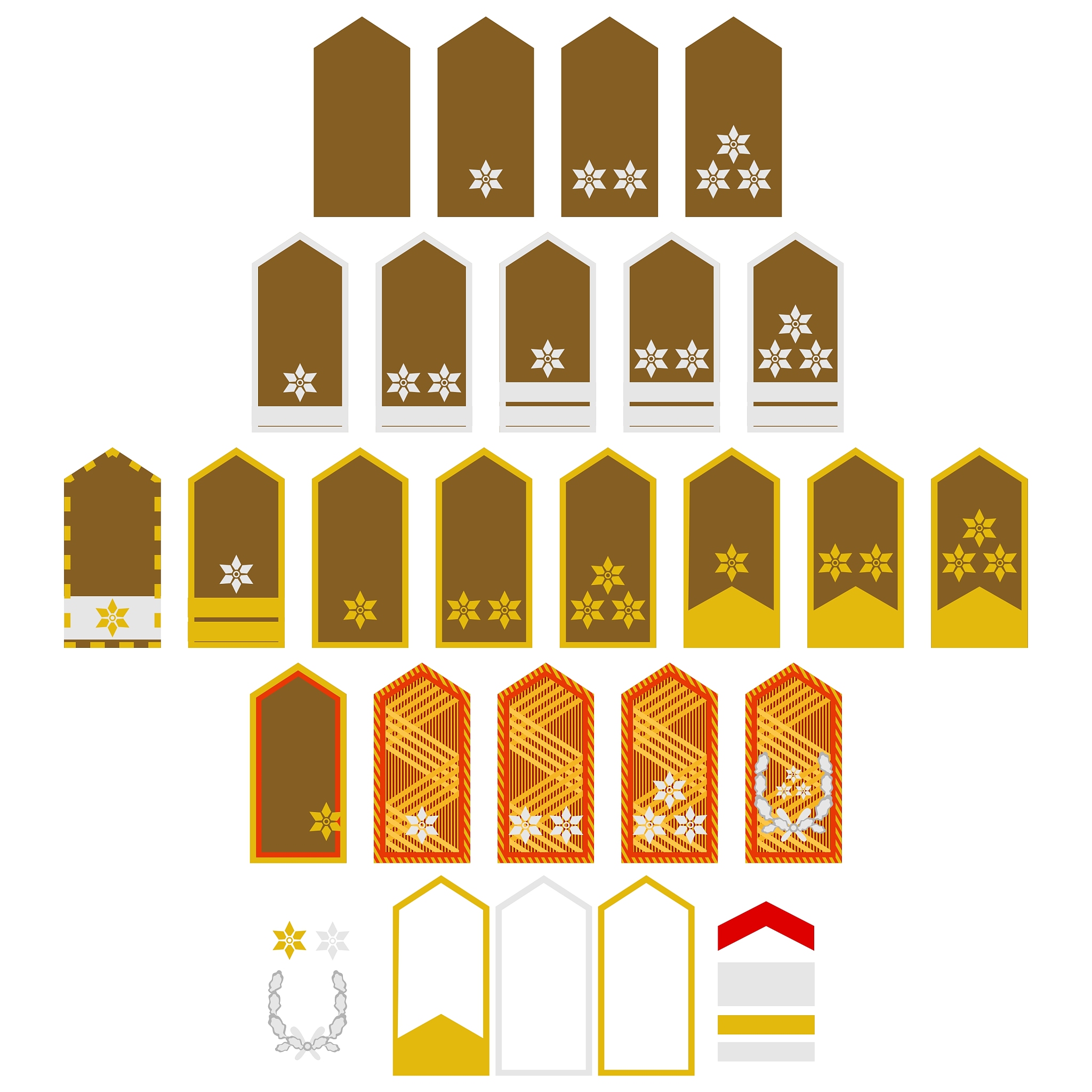 级名是什么意思？详解级名概念及应用场景