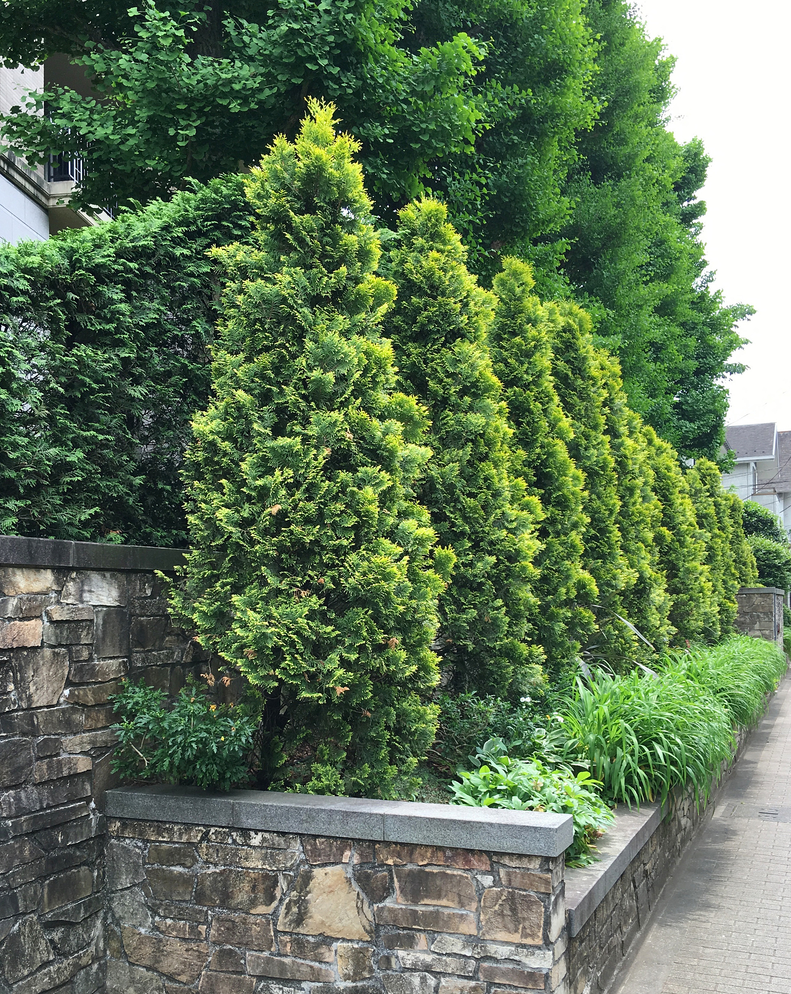 绿色低碳水泥混凝土材料研究：制备、性能及应用前景