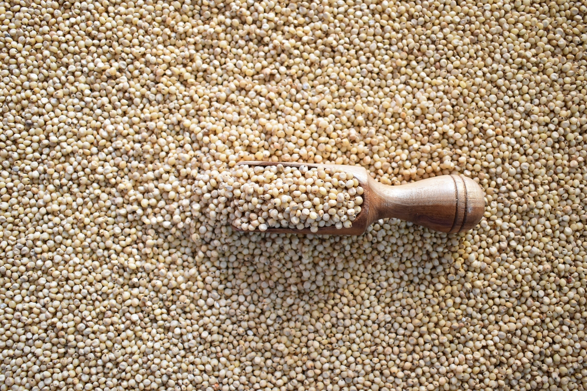 全谷物都有哪些