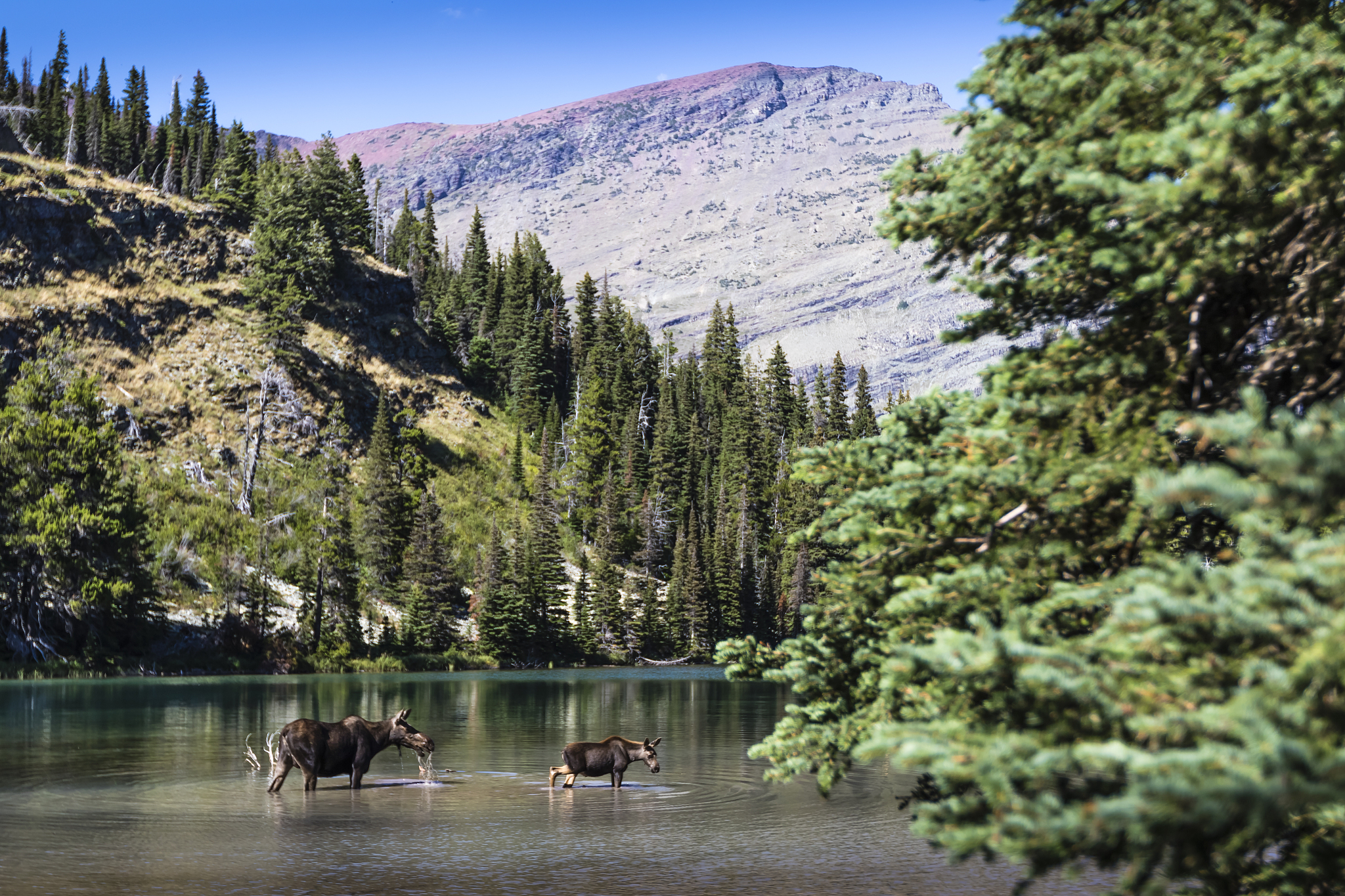 We could go there together and also arches national Park