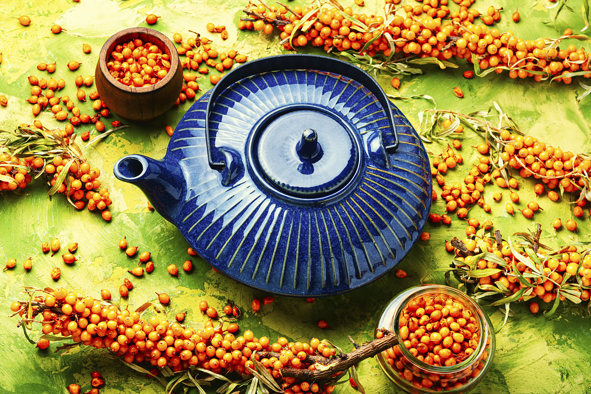 鼎鑫沙棘植物盖片的食用方法有哪些？