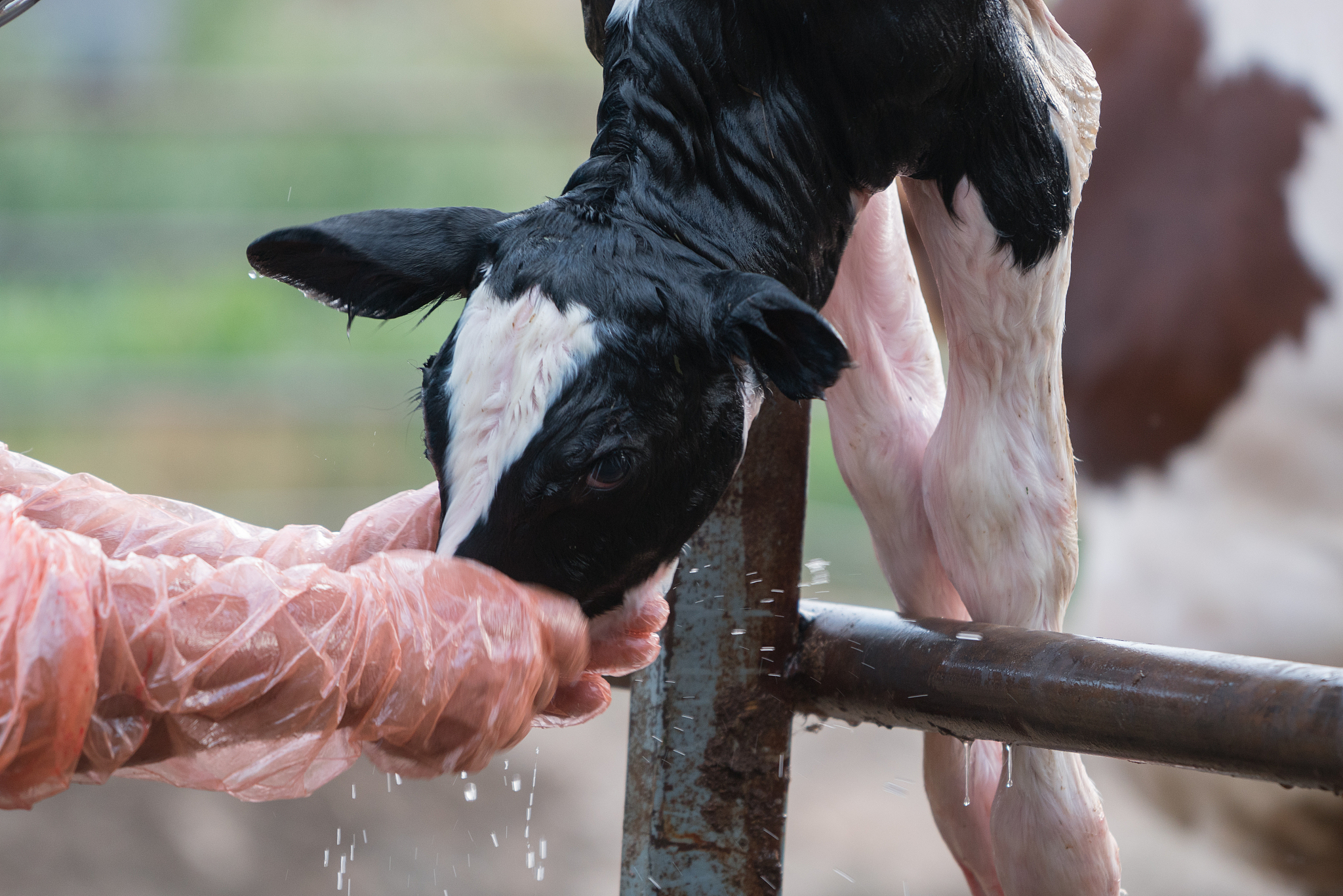 昆明农业学校2022年哪些专业招生