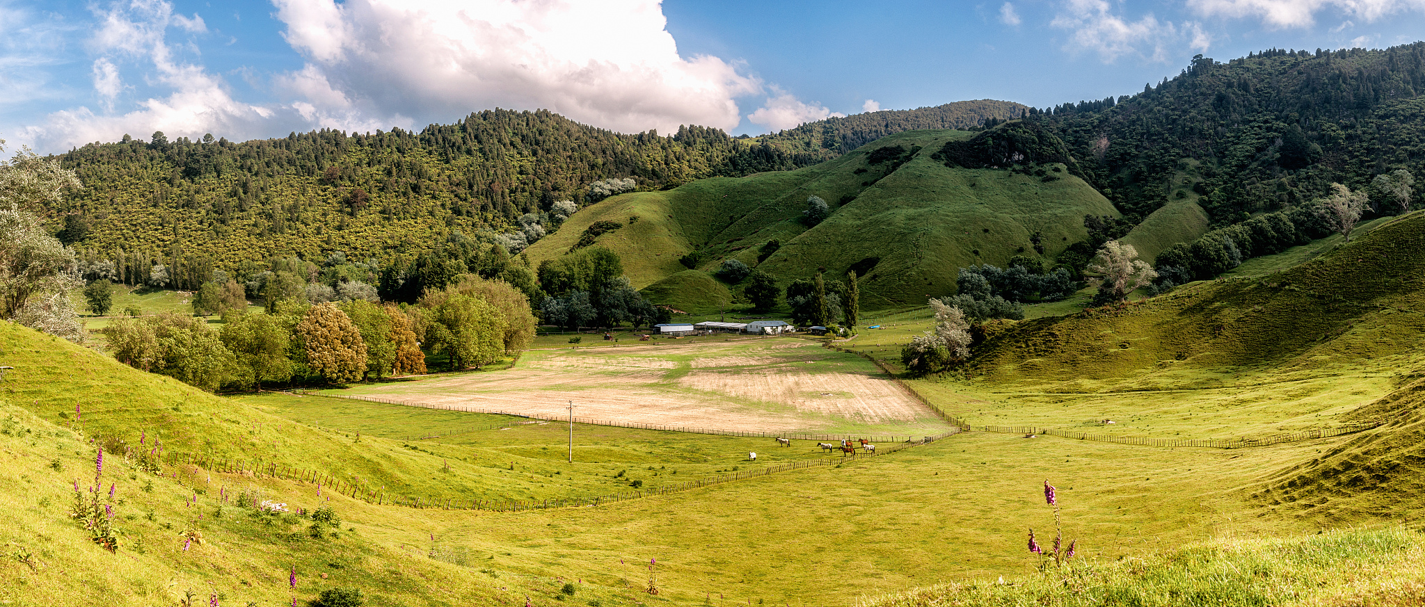 福建农业职业技术学院虚拟现实应用技术专业怎么样？就业前景如何？