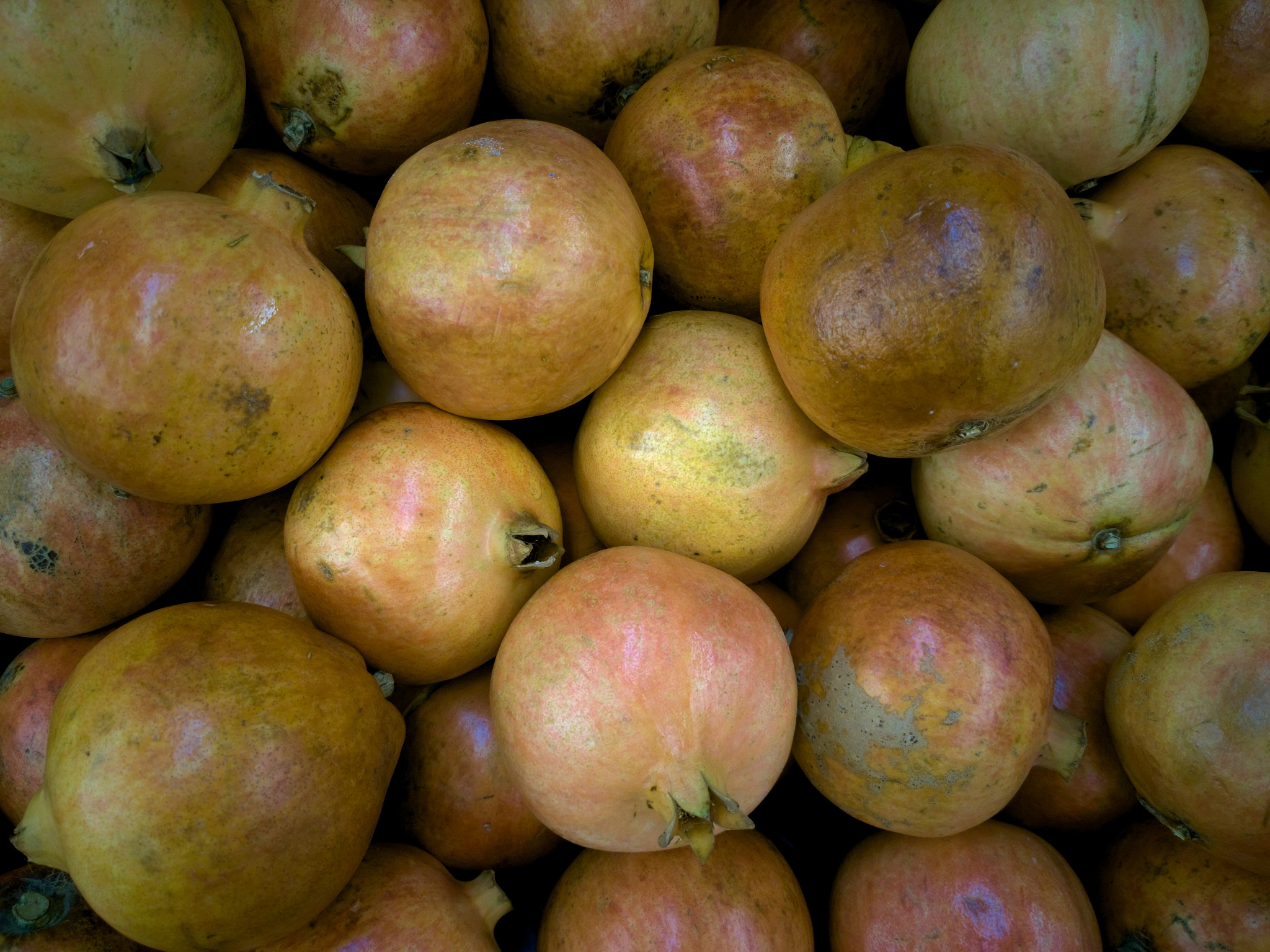 郑州市技师学院力科分院平面广告艺术设计初中三年怎么样？招生条件有哪些-怎么样