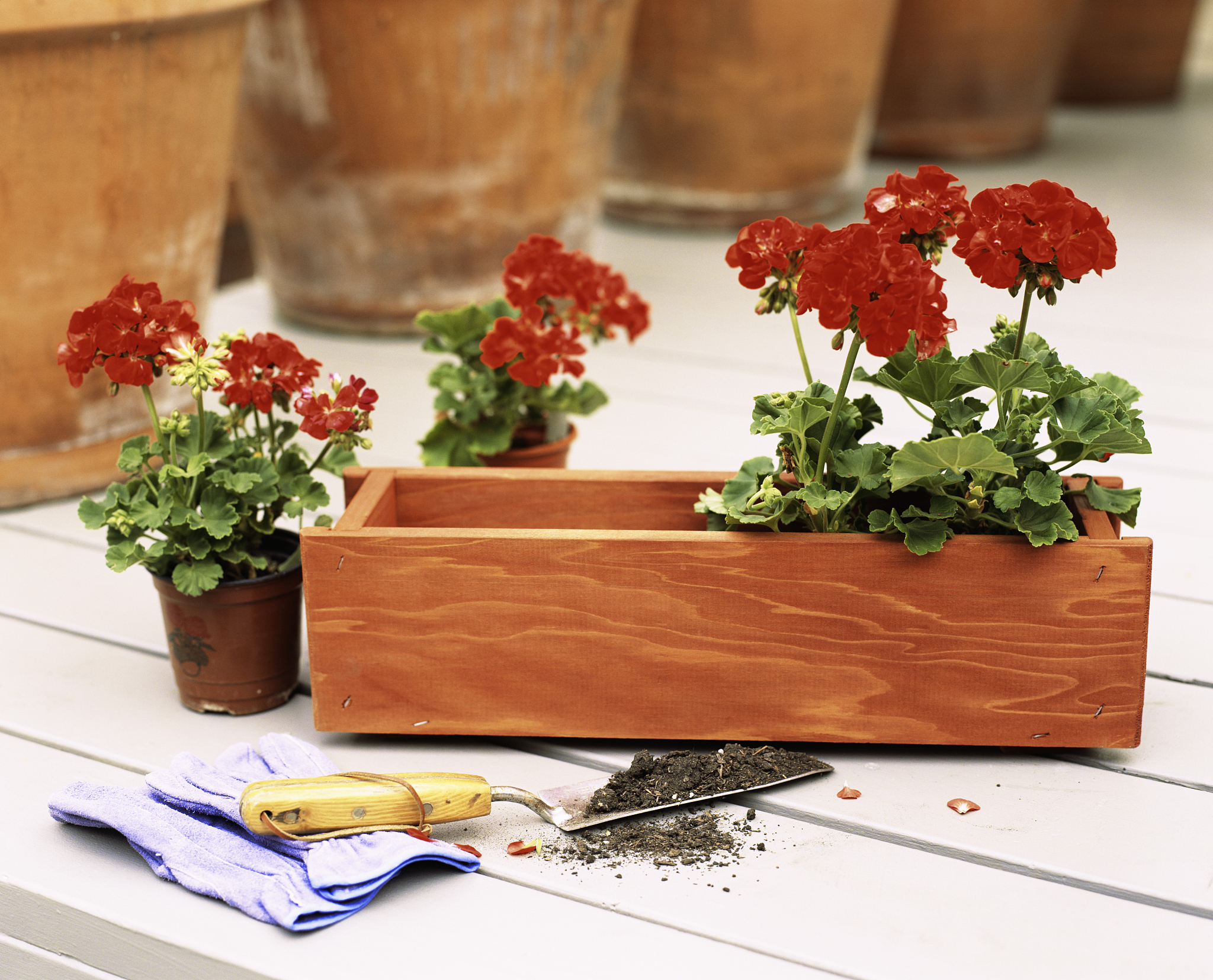 This Wood Planter Box is a must-have for any garden enthusiast Made from high-quality fir wood this planter is strong and durable ensuring long-lasting use The versatile wooden planter is designed wit