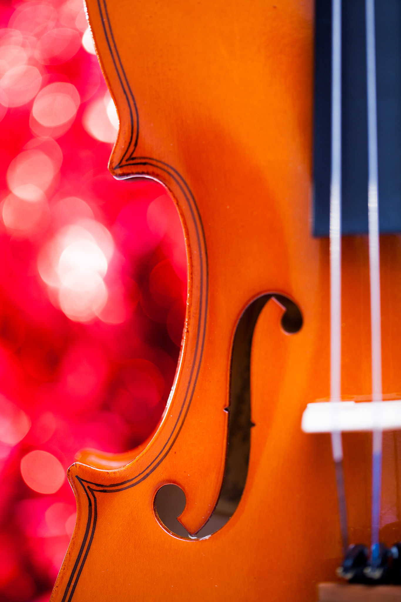 湖南中南艺术学校：专业艺术学府，培养优秀人才