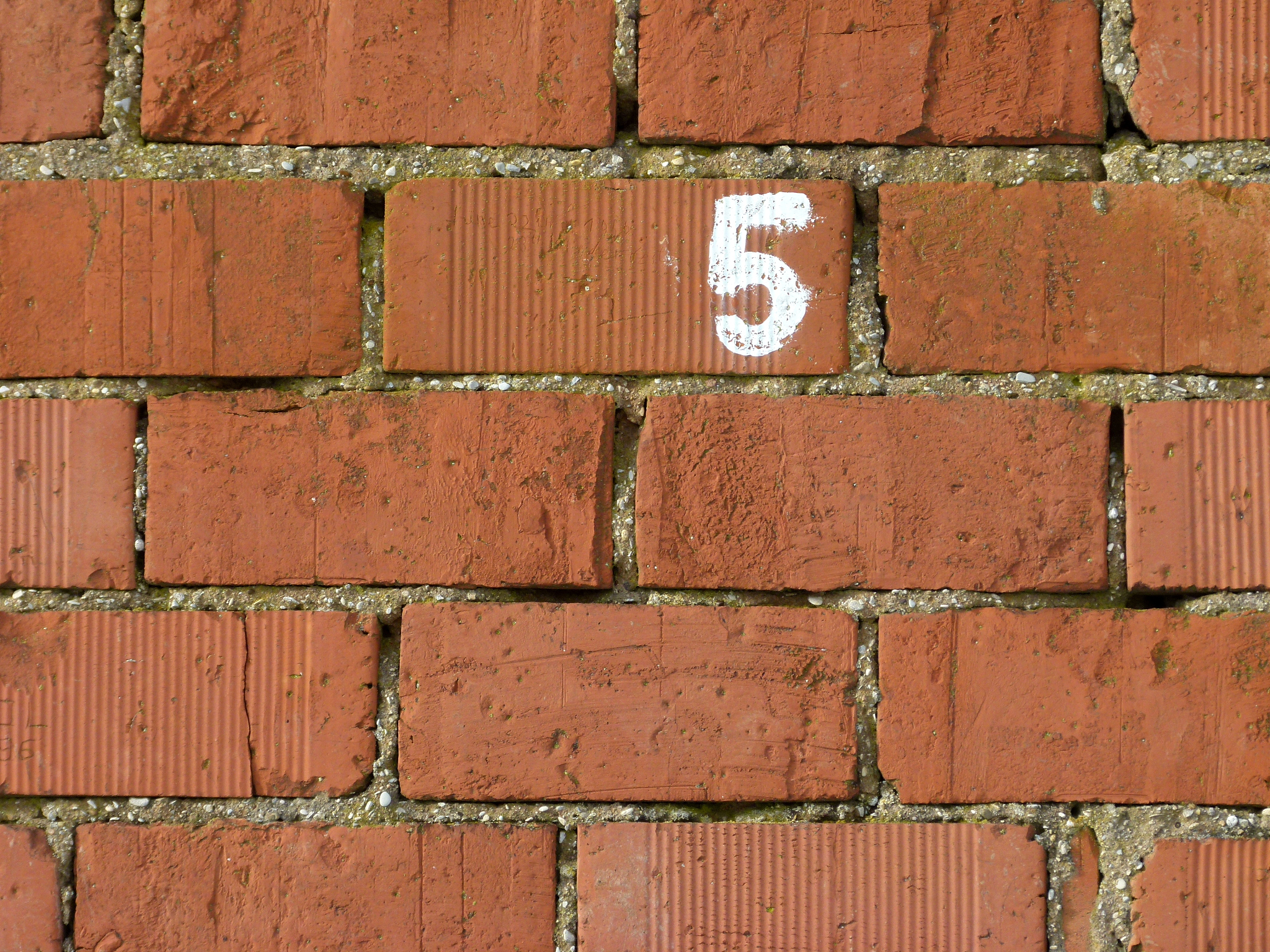 河南理工中等专业学校2023年专业介绍：就业前景、教学特色