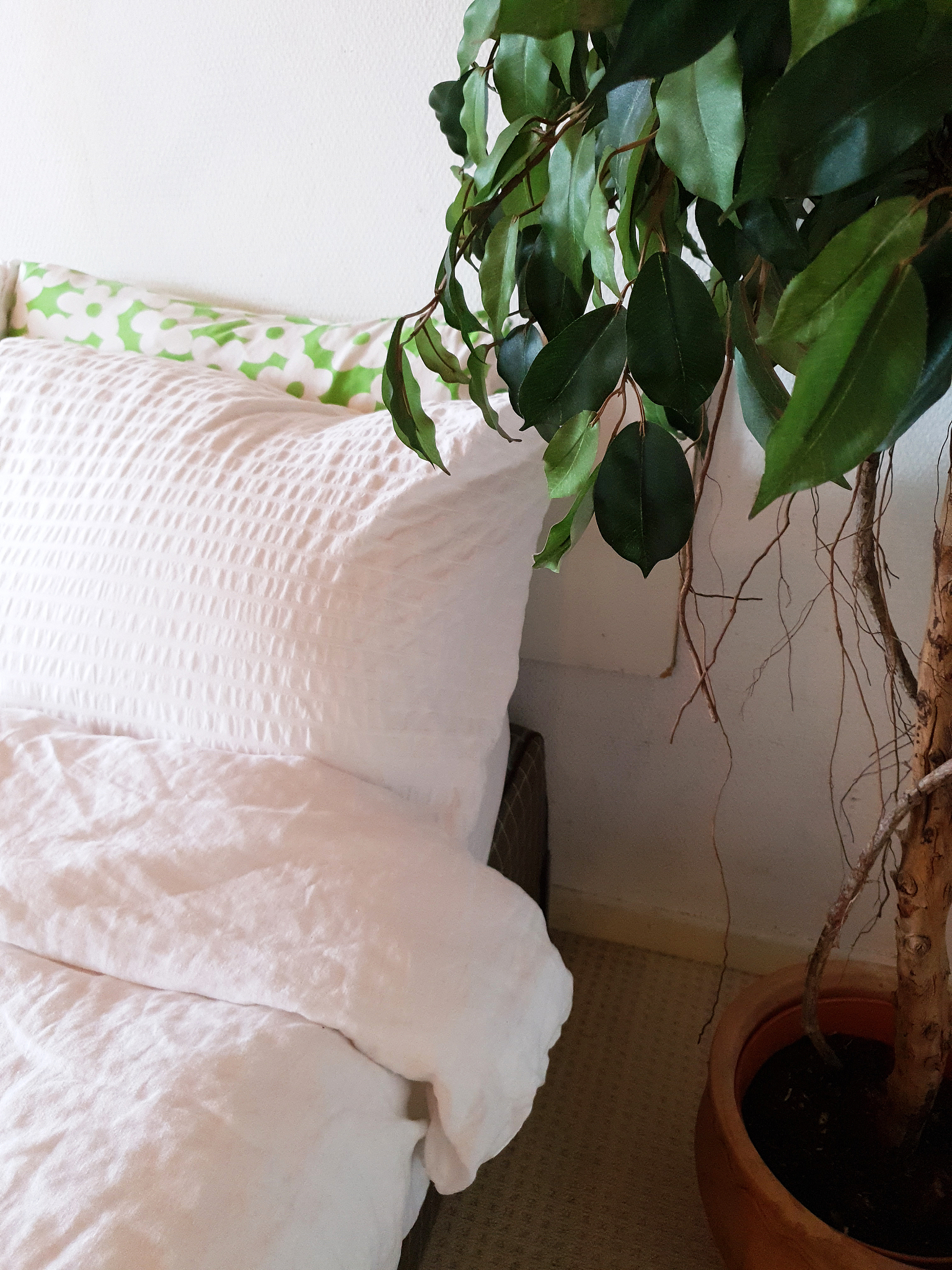 bedroom white linen and green house plant, modern design close-u
