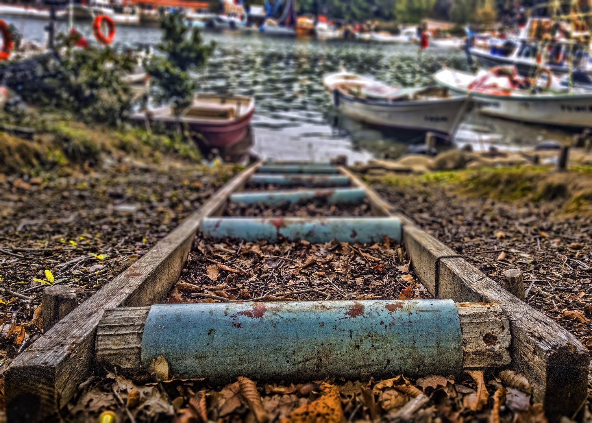 大豆霉变原因分析：ERH 是关键因素