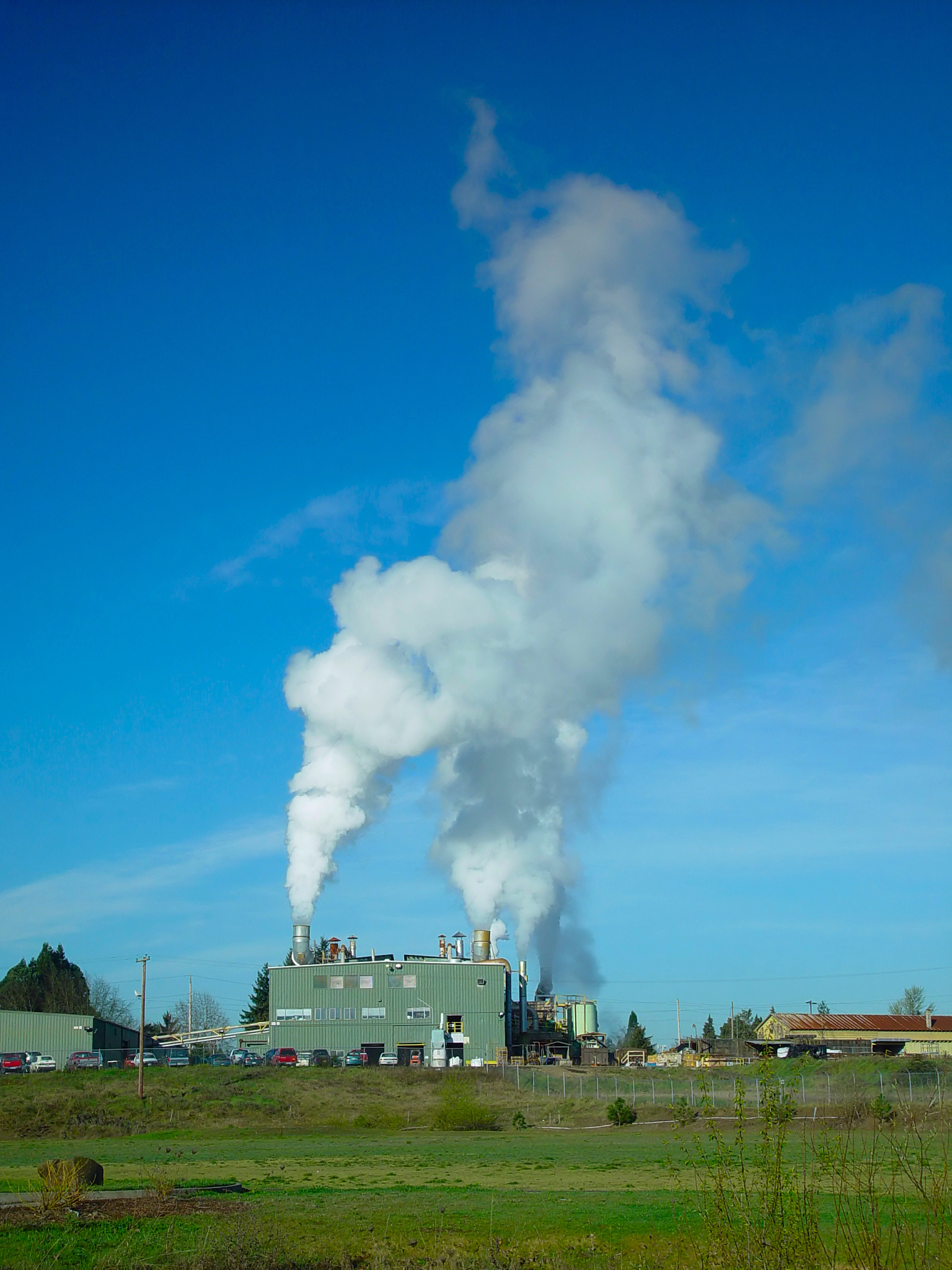 苯并芘残留的降解技术研究意义