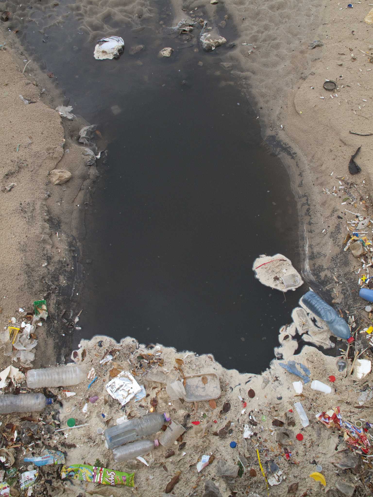 环境问题：全球关注的焦点及解决方案