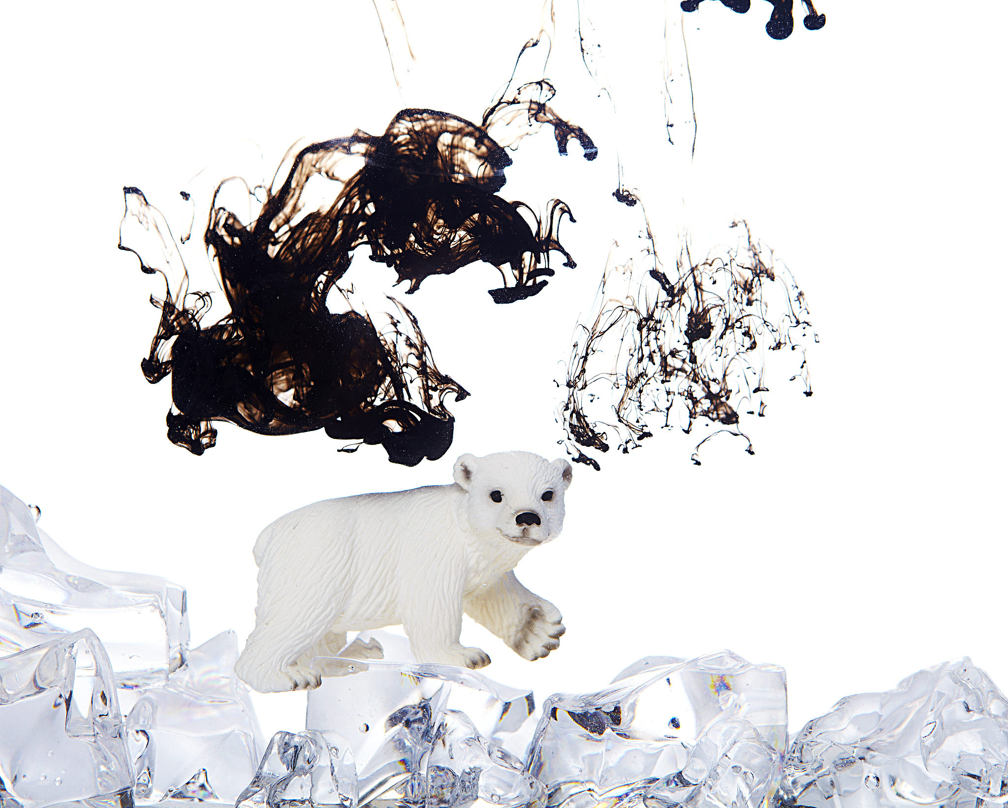 Bird & Plant Science Education: Engaging Experiences for Nature Enthusiasts