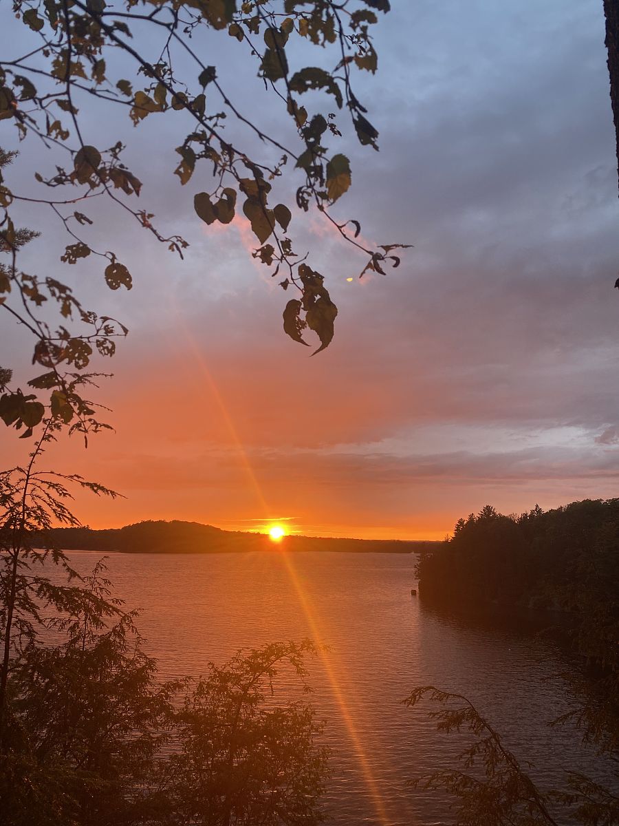 写一篇关于抒情的诗