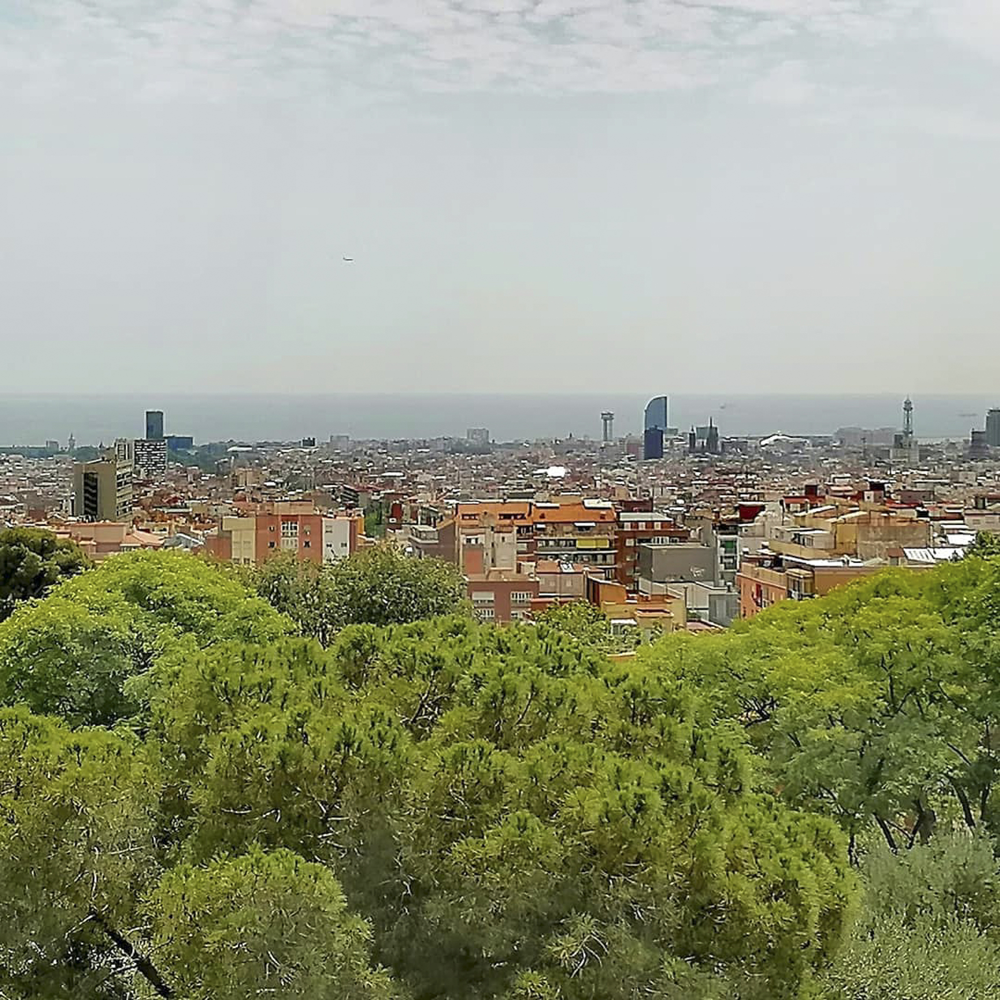 最小国家有哪些