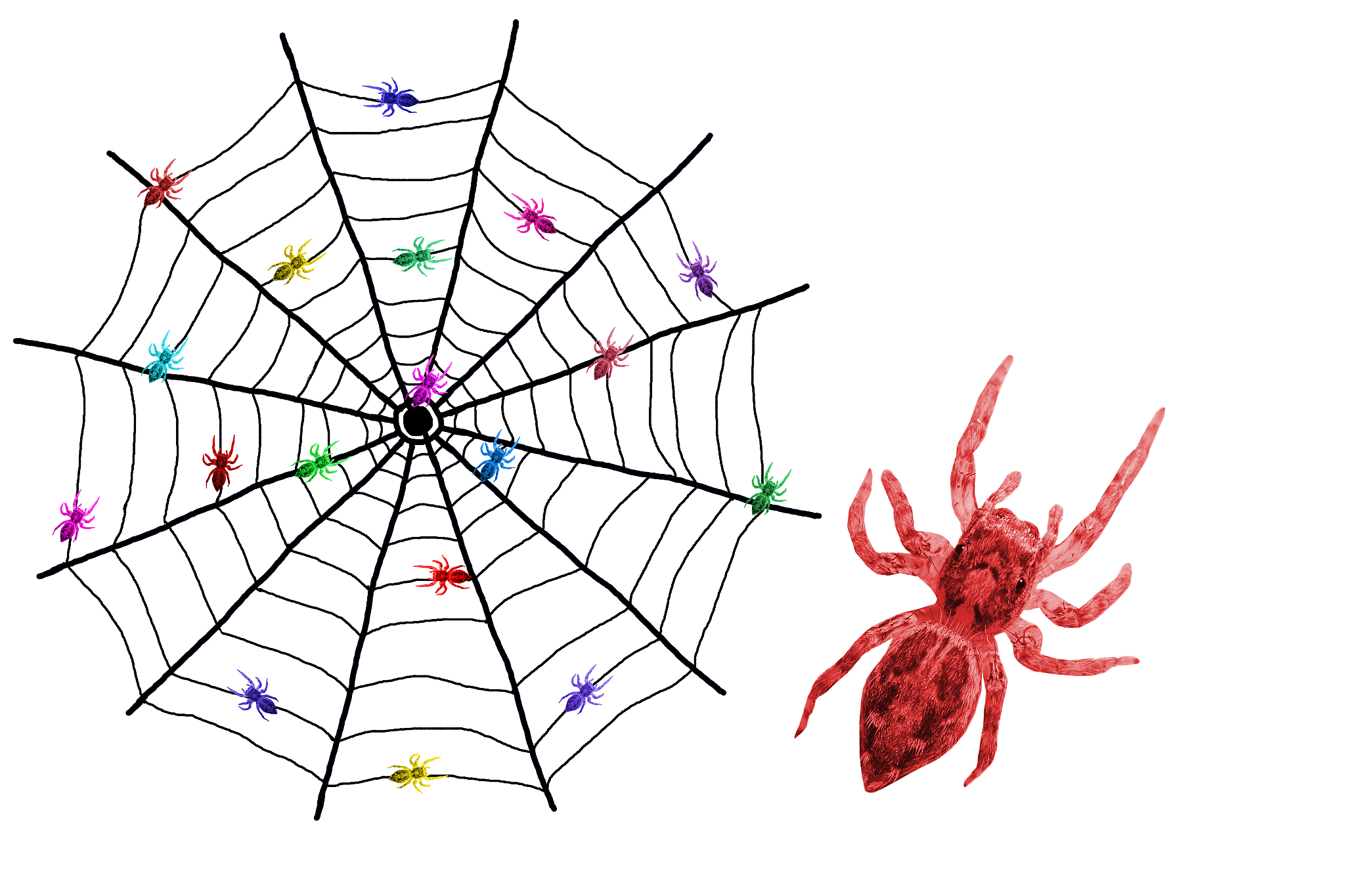 蜘蛛丝的英文是什么？ - 关于Spider Silk的知识