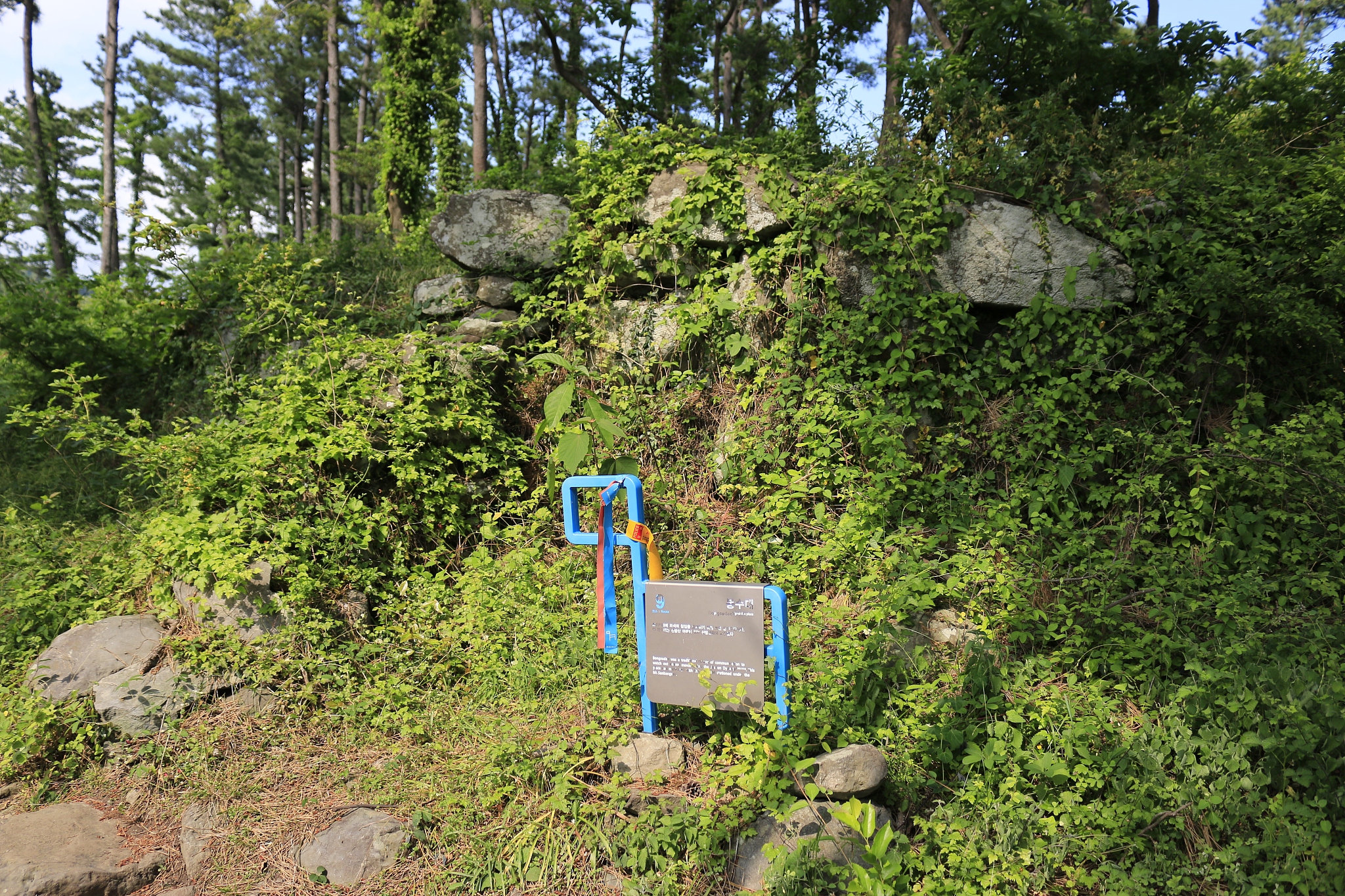 park, cliffs, coast, coast,