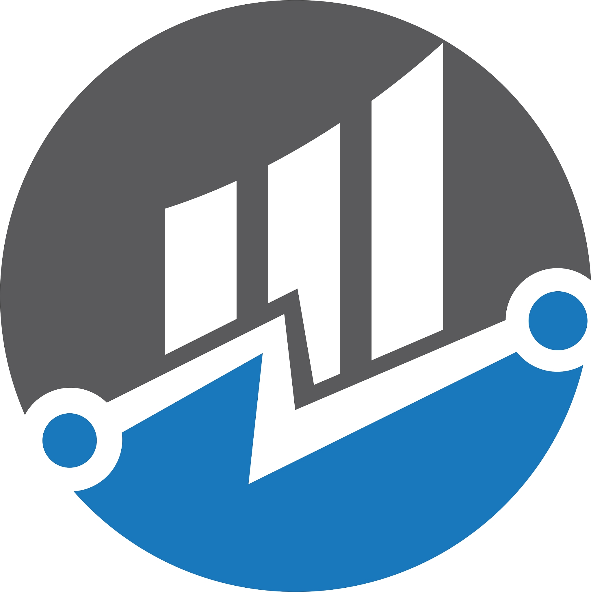business finance professional logo template