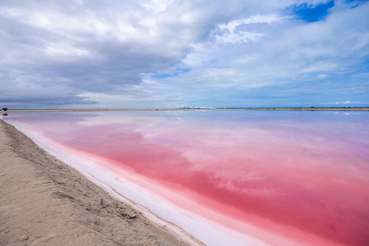 氢氧化钠和硫酸能发生反应的依据