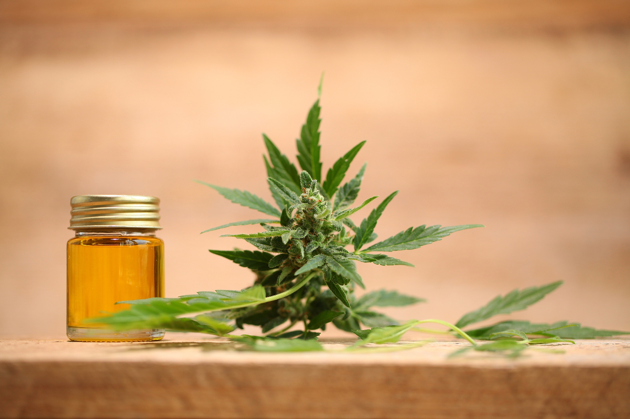 Marijuana's Medicinal Uses: Evidence and Research