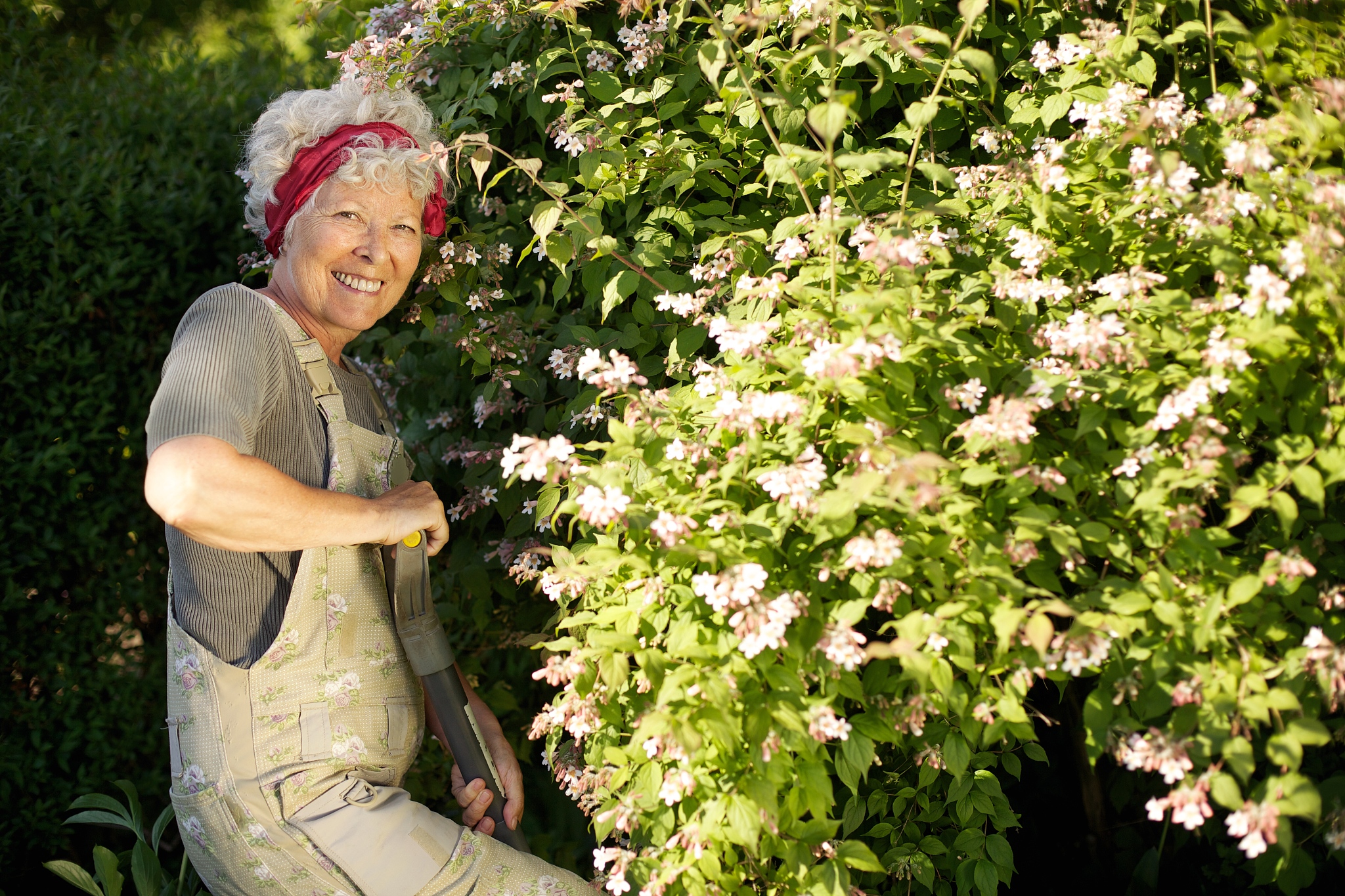 又是一年别鸟时 写一篇300字小学作文