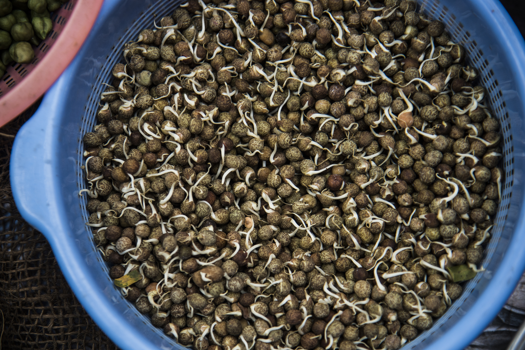 温州科技职业学院种子生产与销售专业就业前景分析