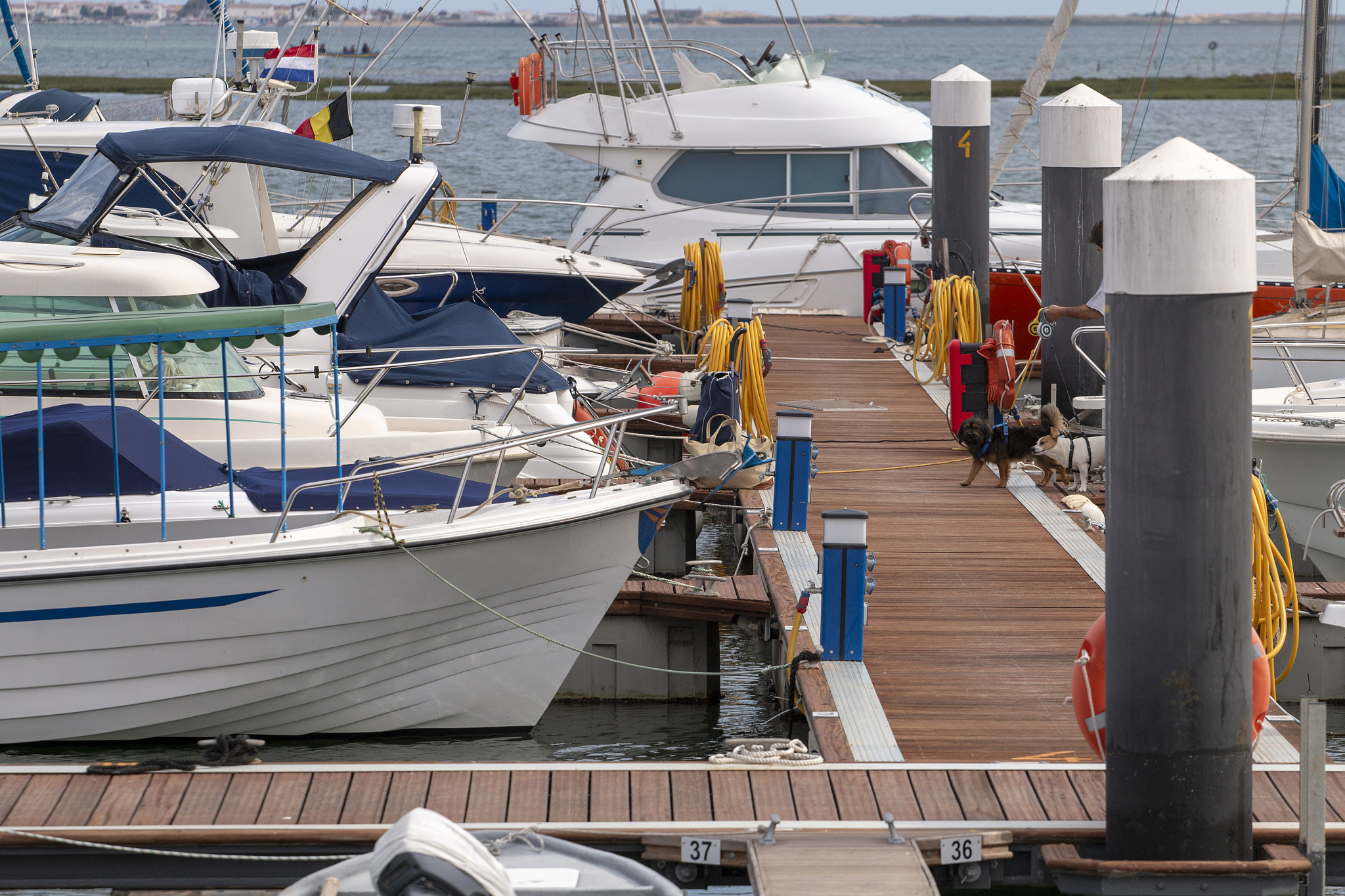 anchored recreational boats
