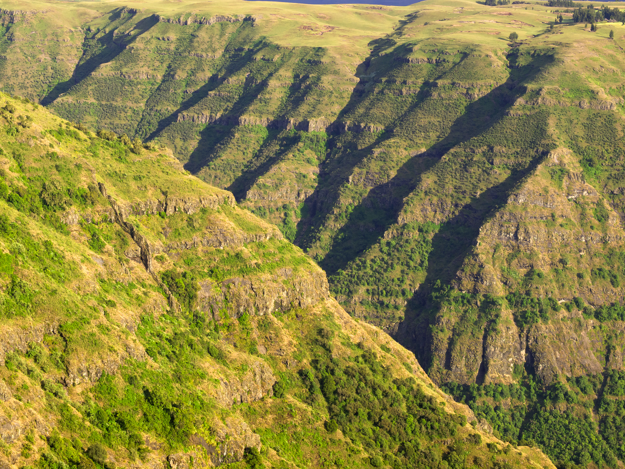 canyon detail