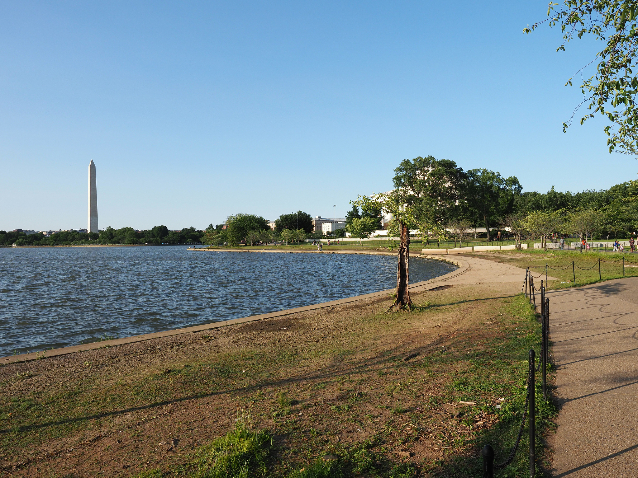 Ludang Lake Wetland Park Protection: A Refined Management Approach to Bridging Government-Civil Organization Gaps