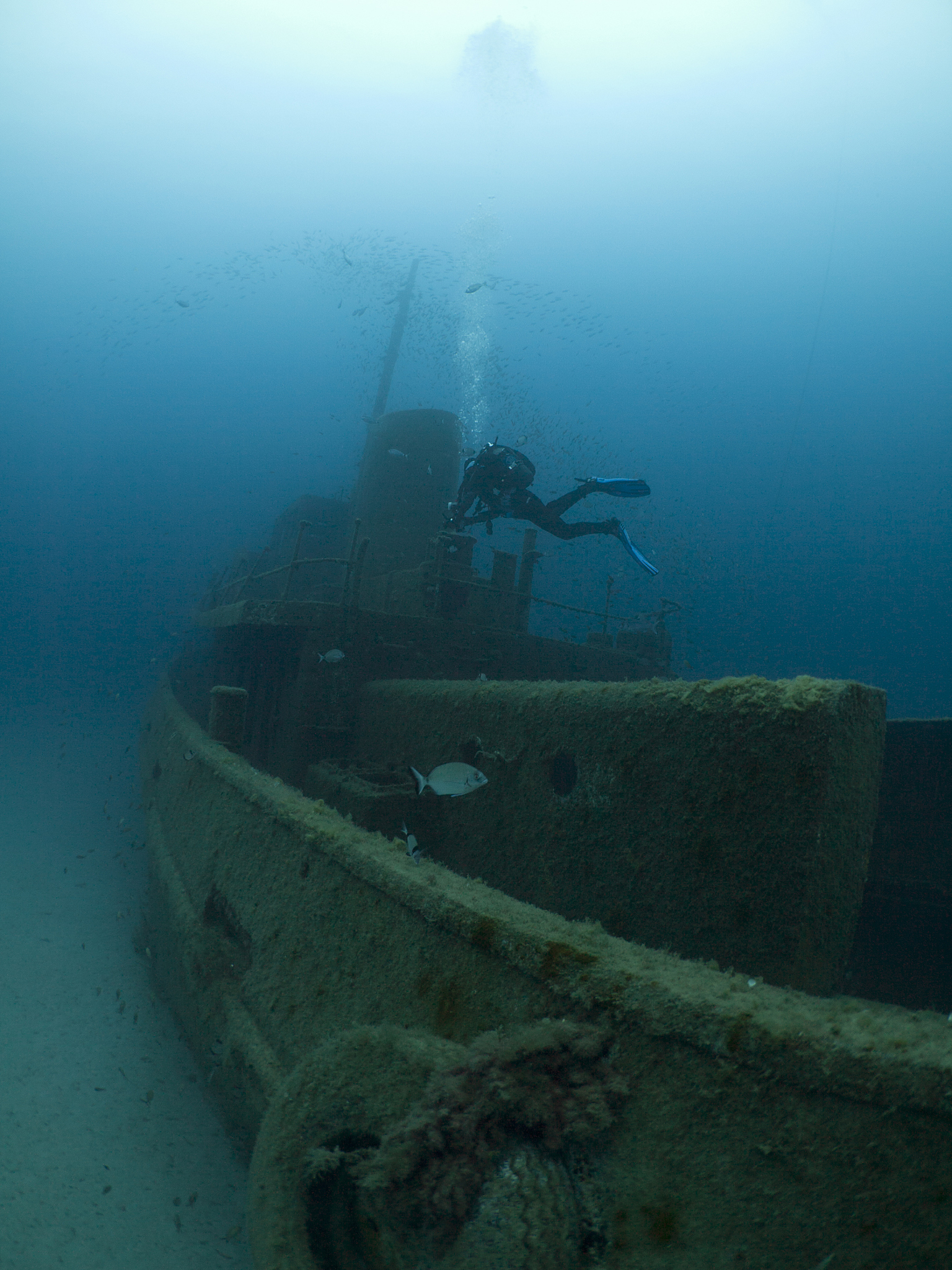 scuba diver swims over a shipwreck in the mediterranean sea