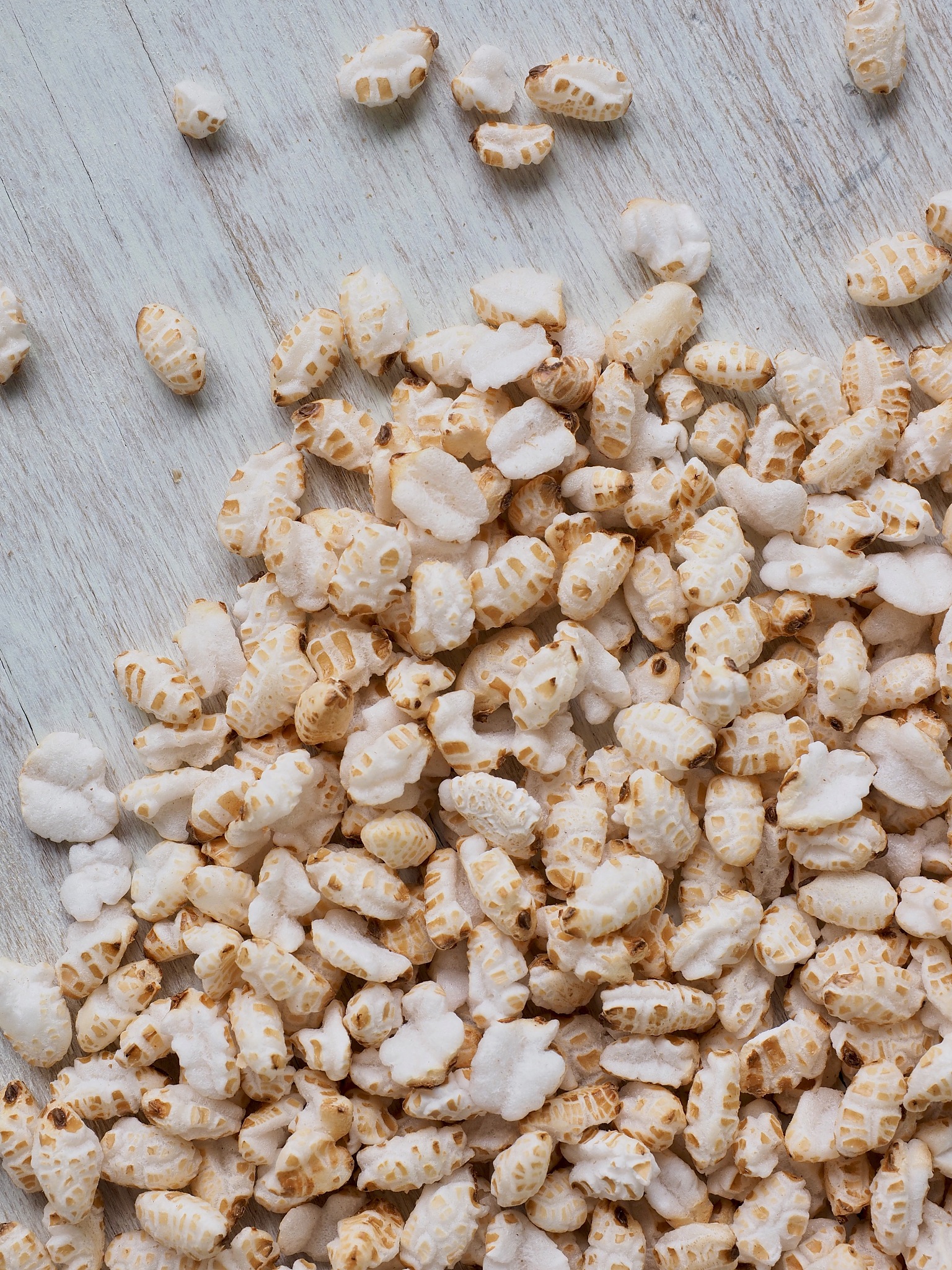 河南医学高等专科学校专业介绍 - 医学、护理、中药等专业解析