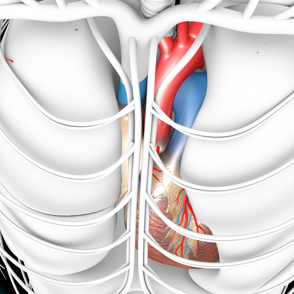 有可能造成高位颈髓损伤或上胸段T6以上损伤患者出现自主神经反射亢进的原因是A 	膀胱过度充盈B 	直肠内有大量粪块未排出C 	压疮D 	甲沟感染E 	残肢部分位置不当