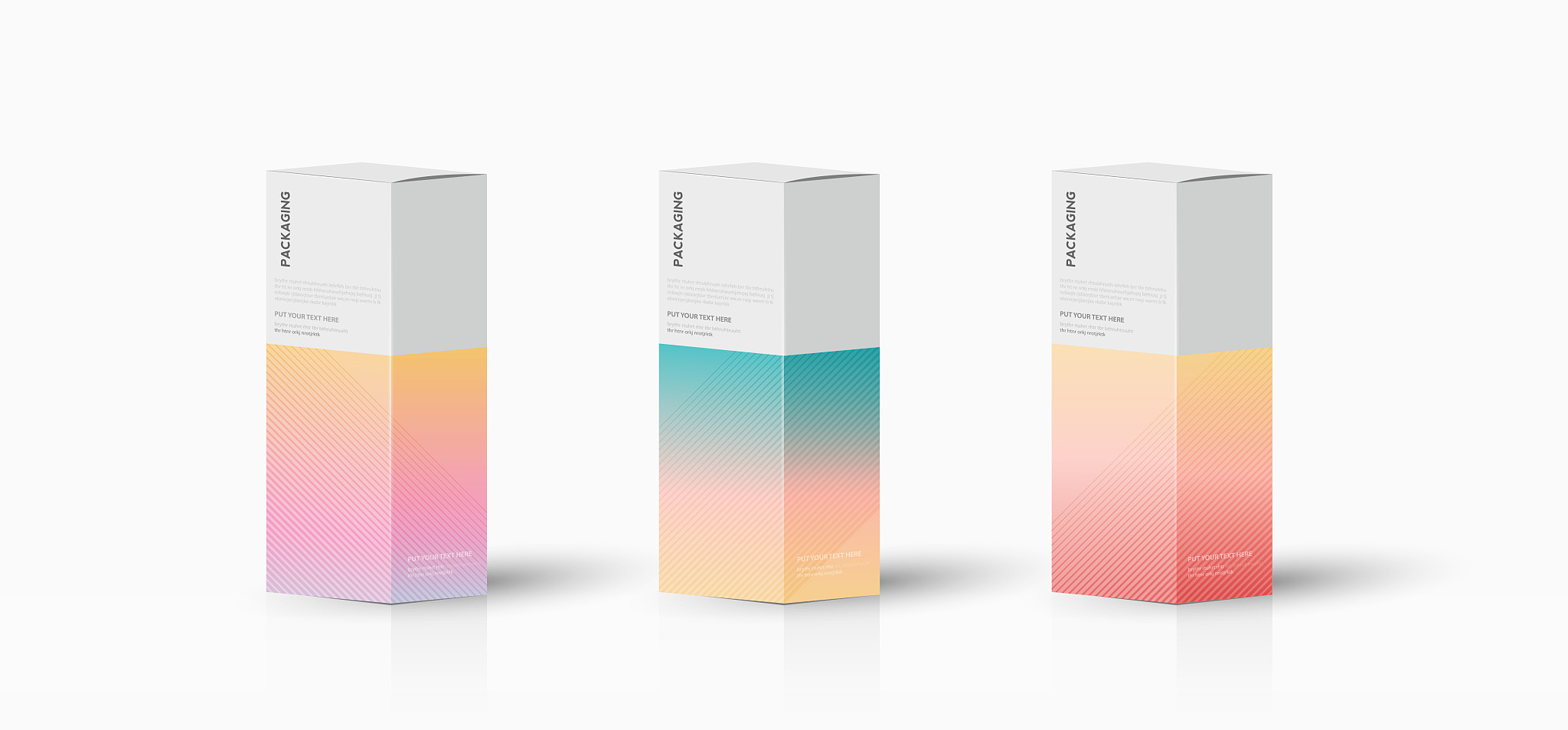 box, packaging template for product vector design illustration.