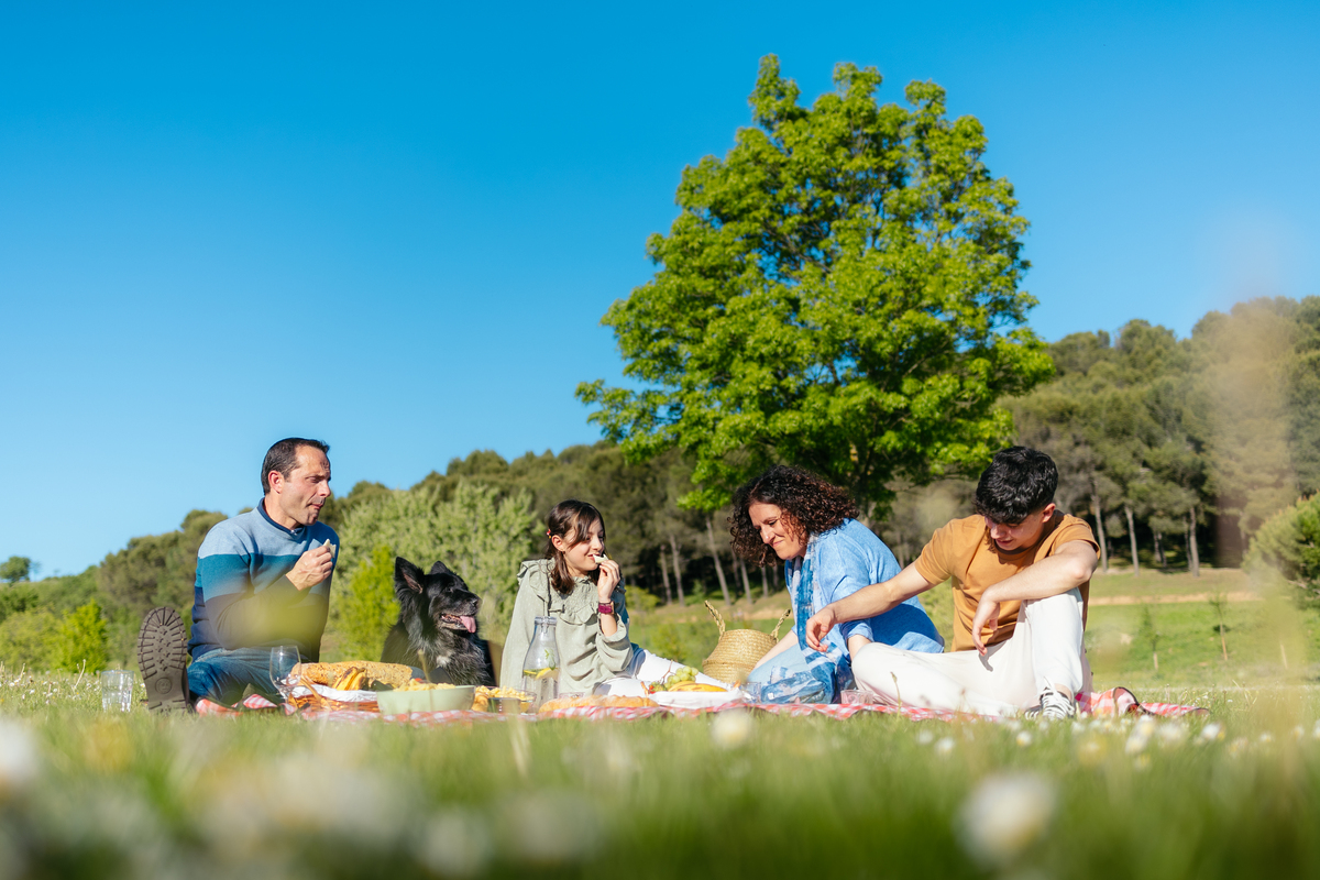 的昨天和家人出去玩的作文