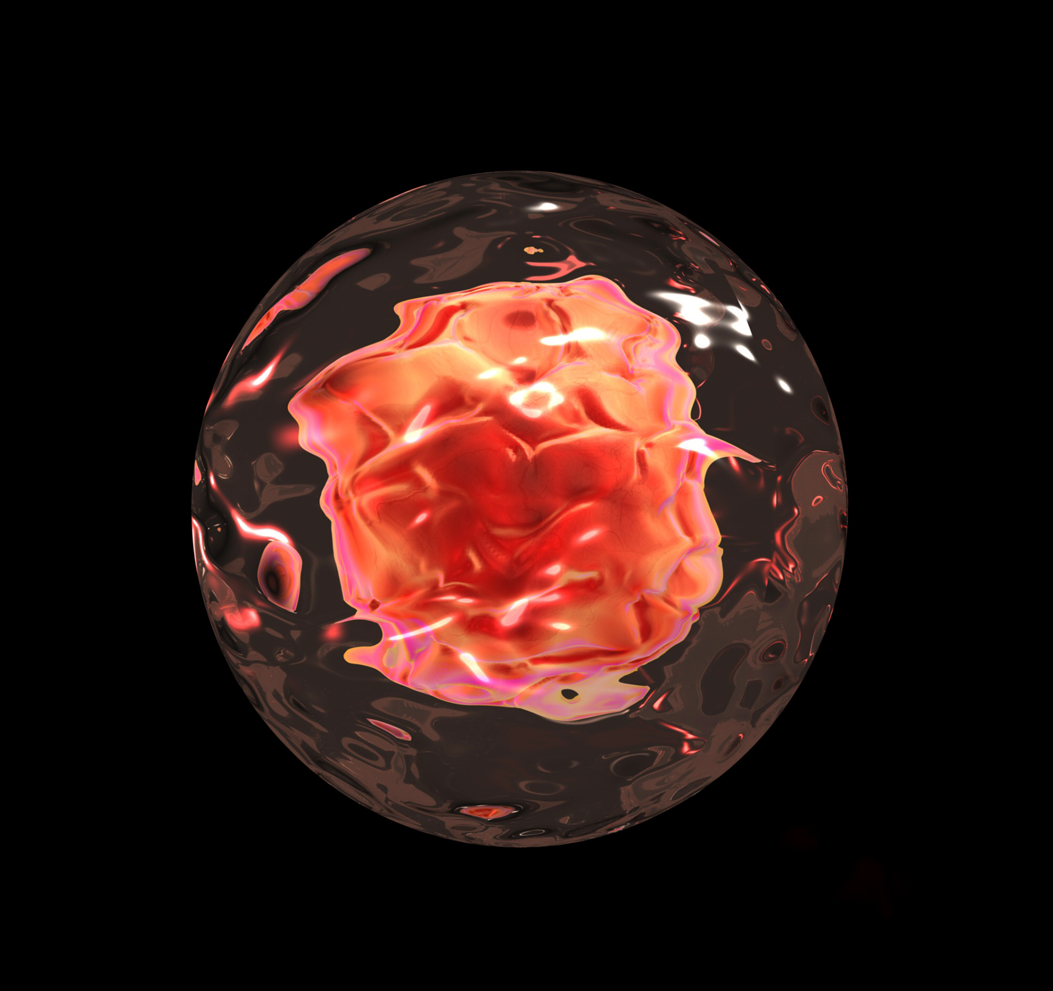 细胞培养及克隆形成观察方法